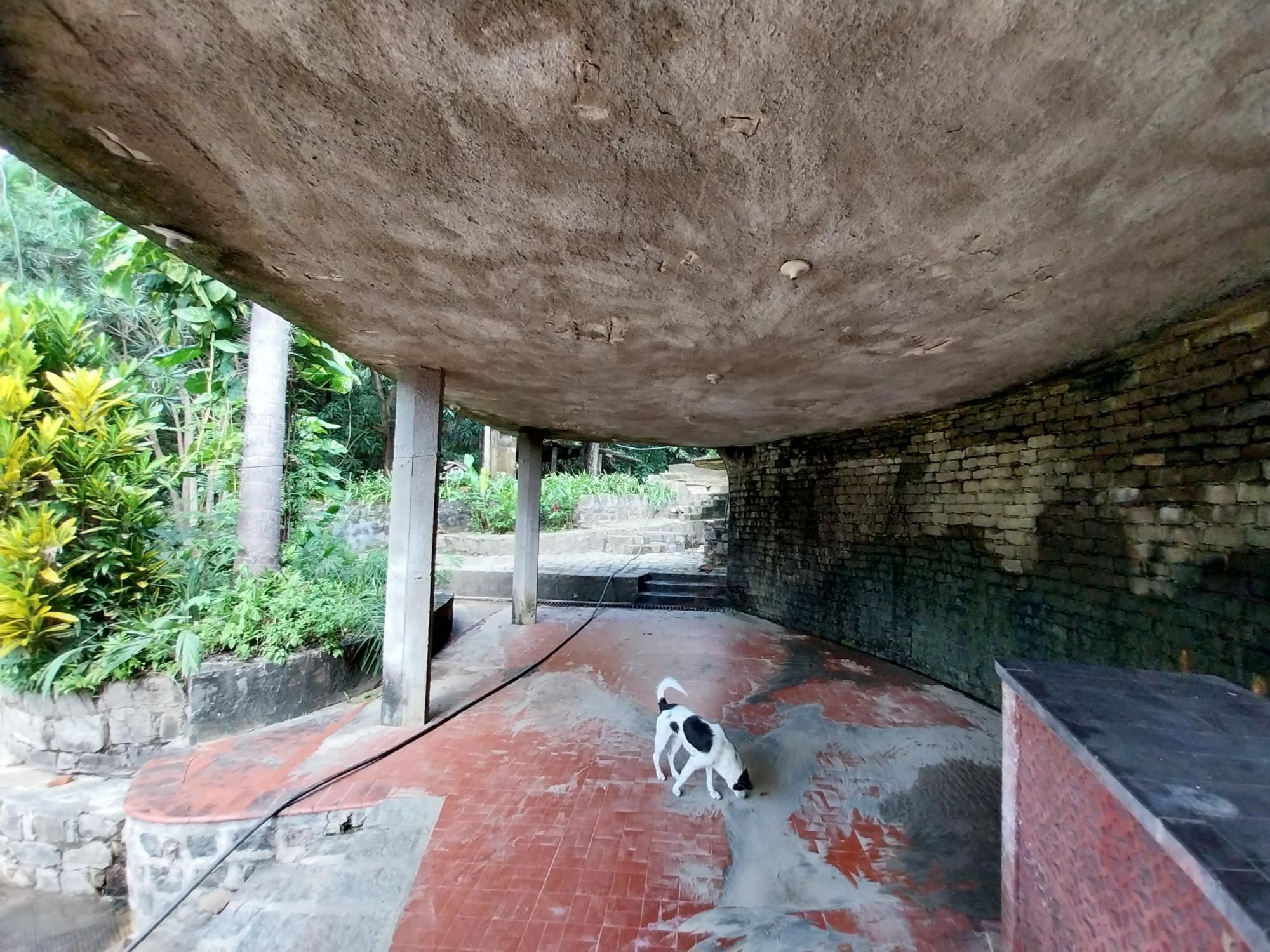 Terreno, 2 hectares - Foto 21