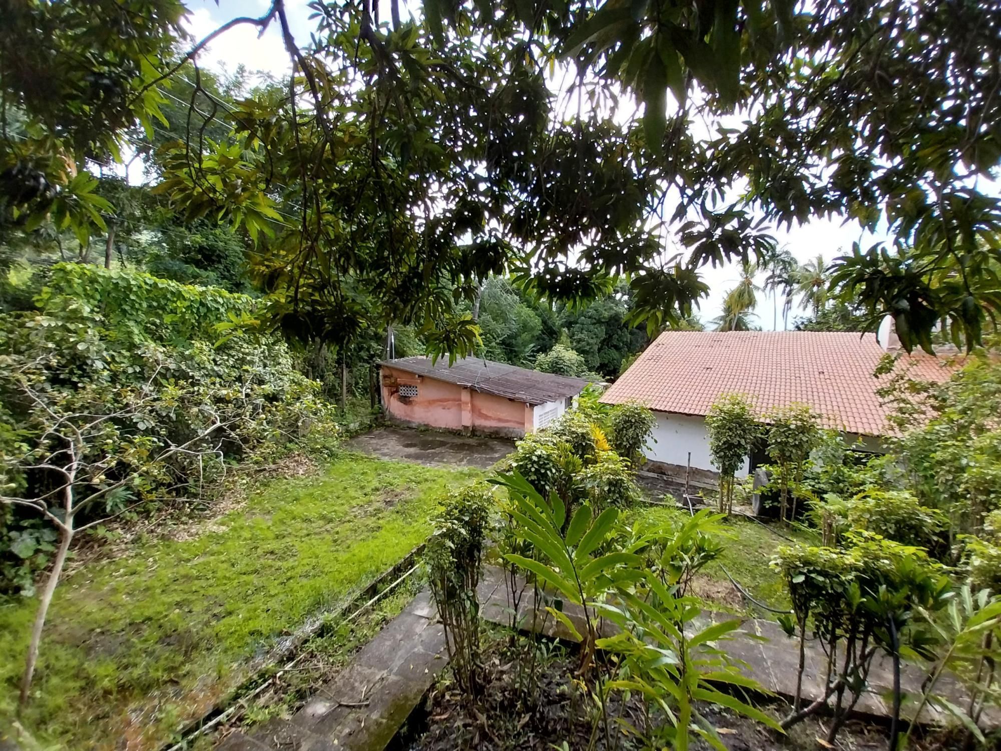 Terreno, 2 hectares - Foto 72