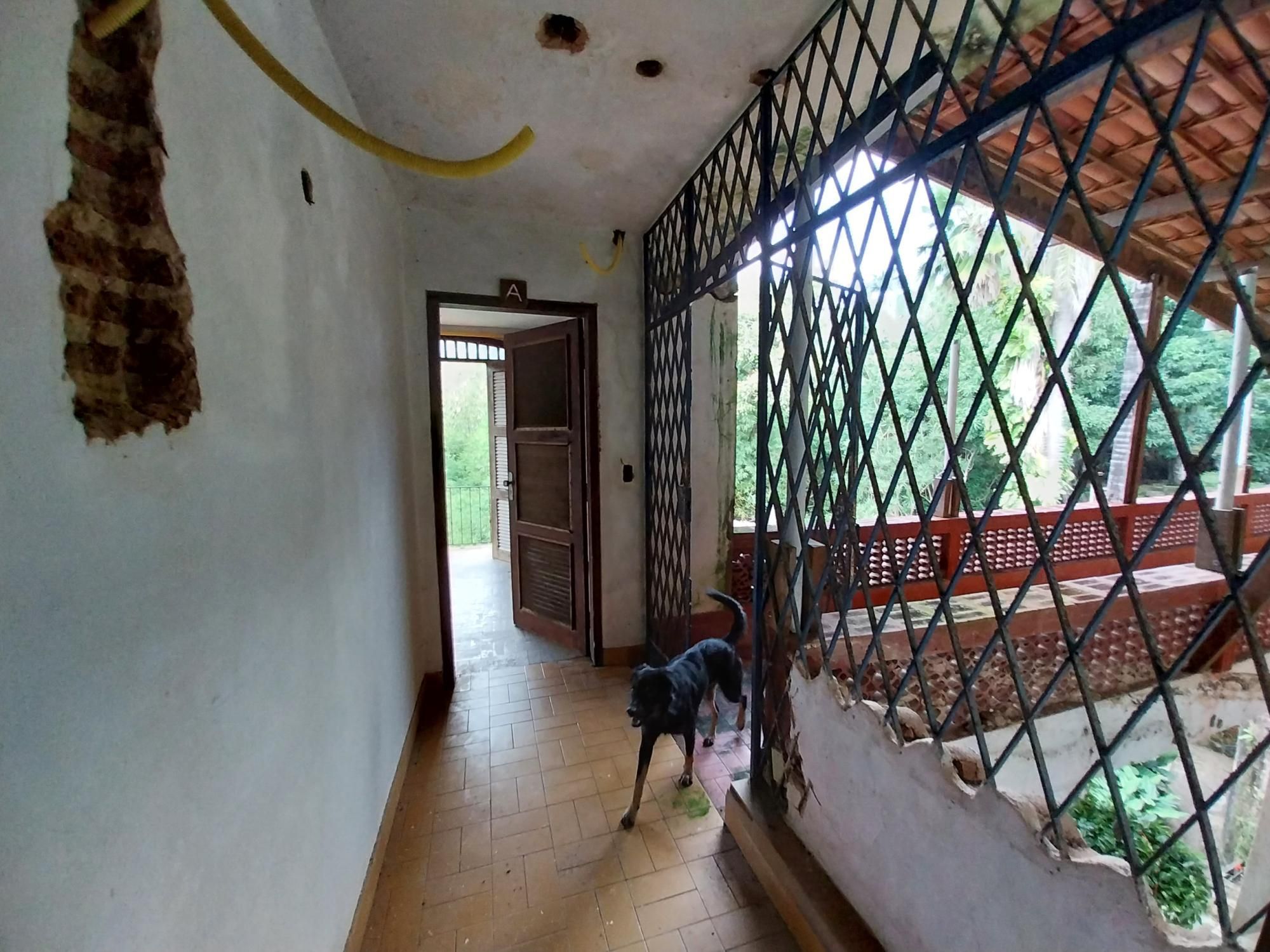 Terreno, 2 hectares - Foto 66