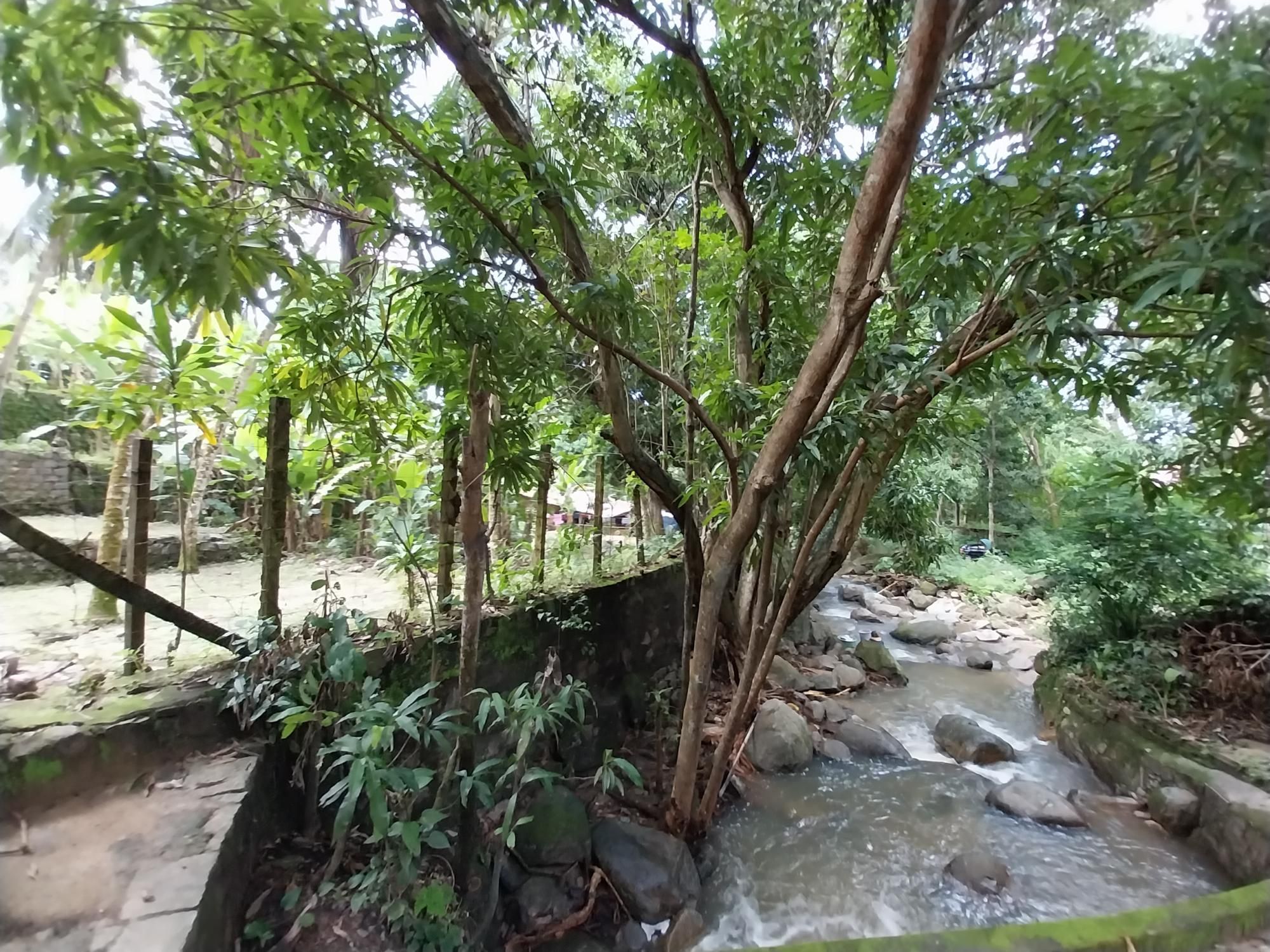 Terreno, 2 hectares - Foto 9