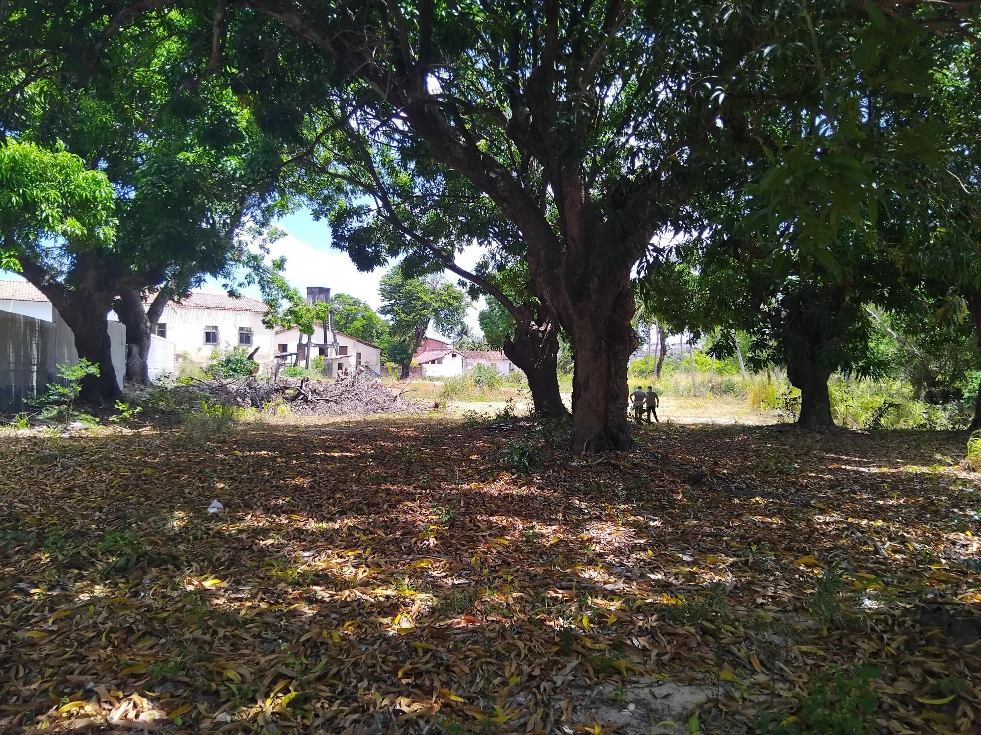 Terreno, 4 hectares - Foto 13