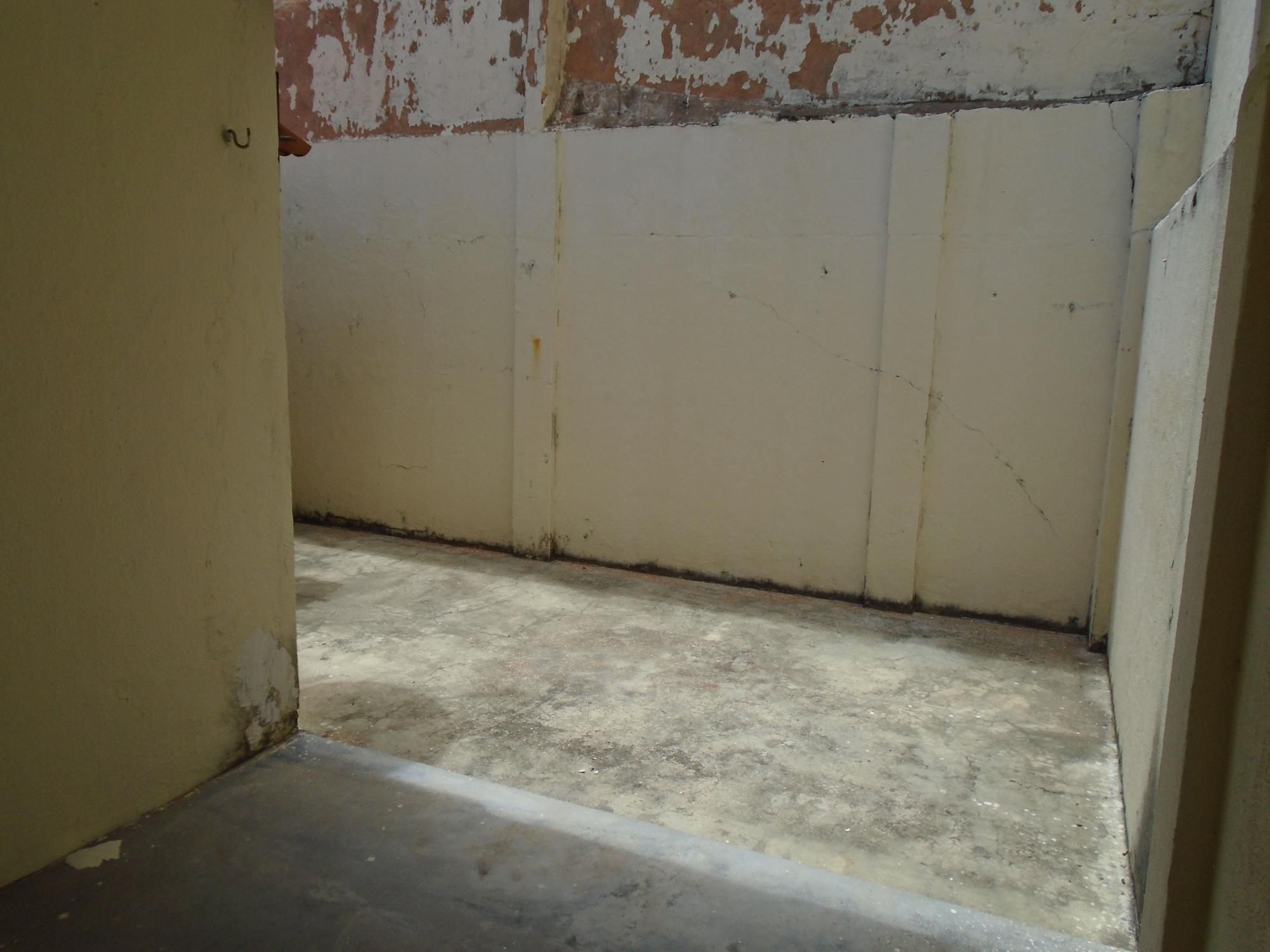 Casa, 4 quartos, 393 m² - Foto 50