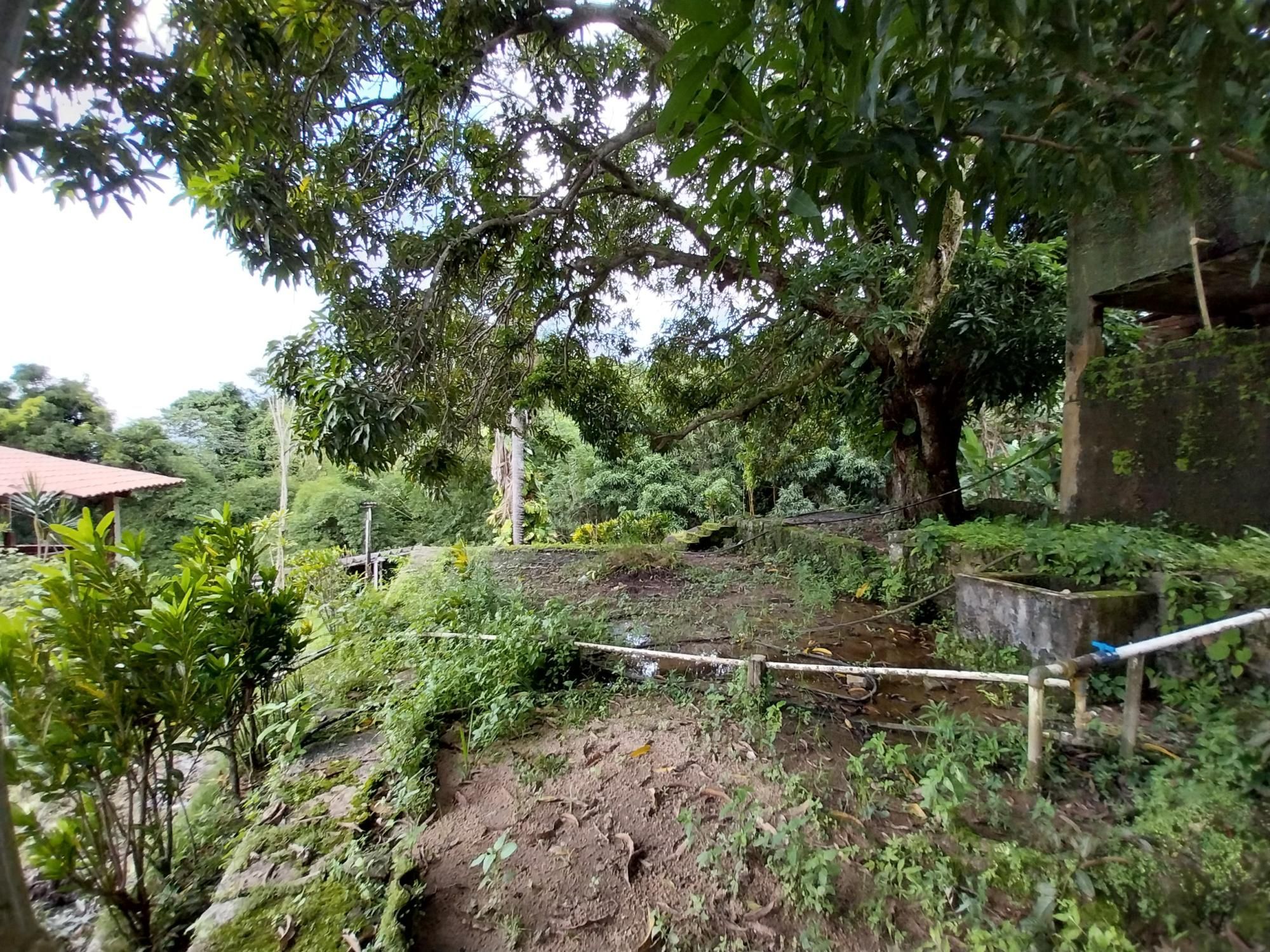 Terreno, 2 hectares - Foto 71