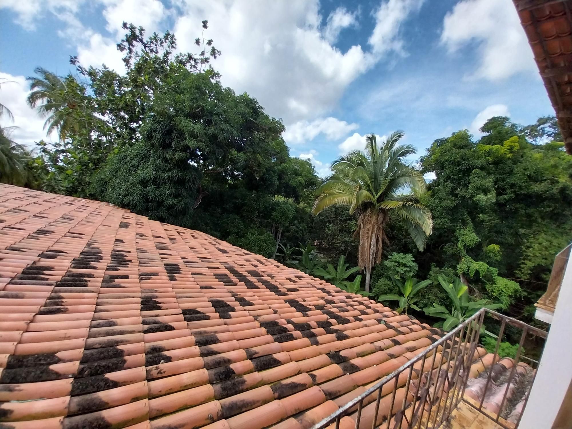 Terreno, 2 hectares - Foto 64