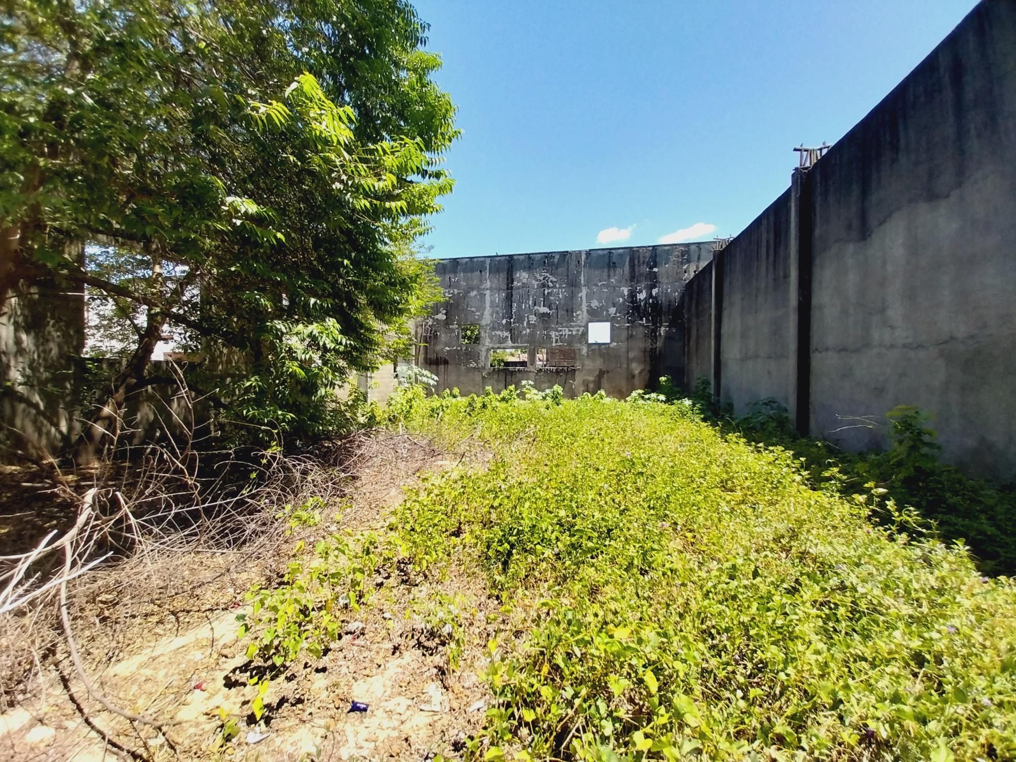 Terreno, 7260 m² - Foto 27