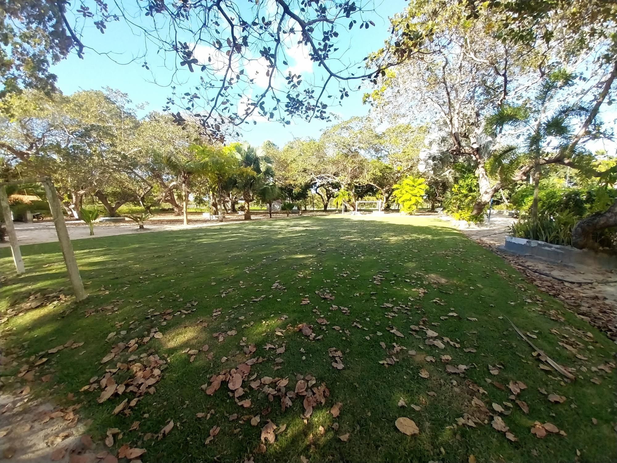 Sítio, 5 quartos, 6 hectares - Foto 28