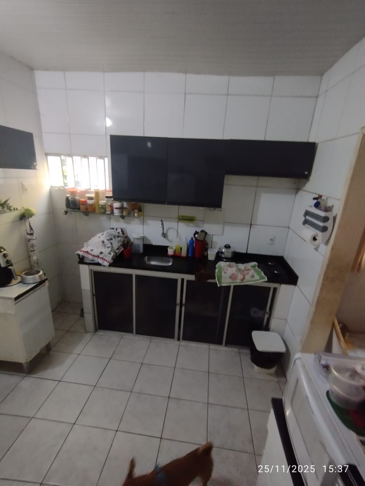 Casa, 4 quartos, 195 m² - Foto 35