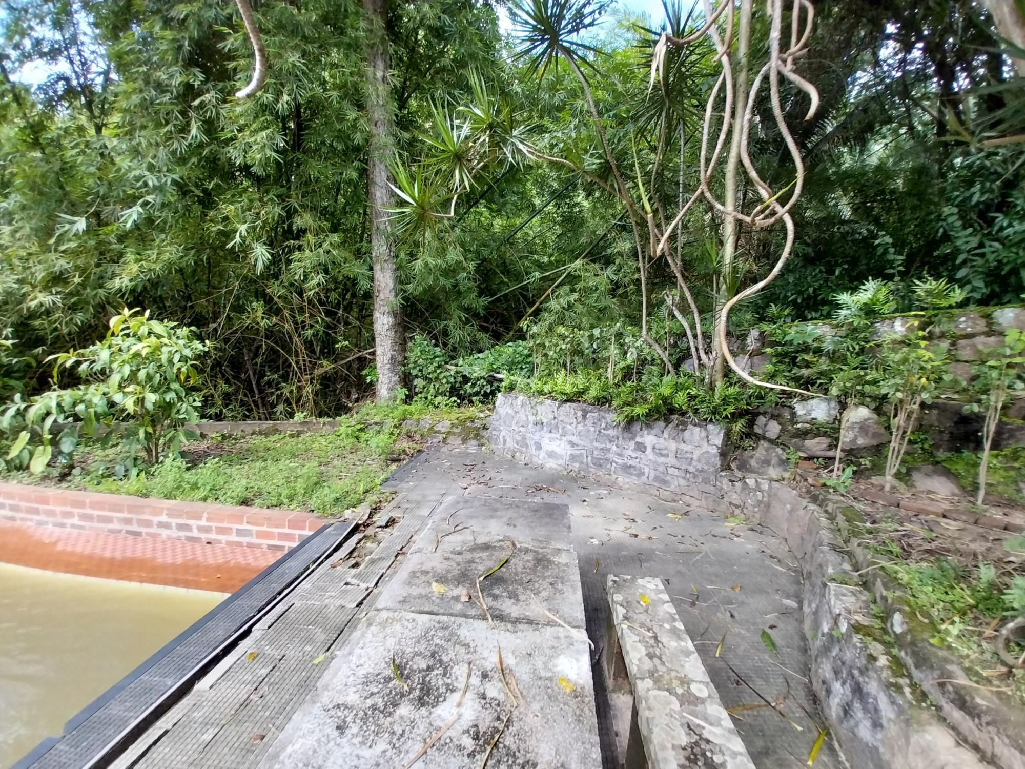 Terreno, 2 hectares - Foto 24