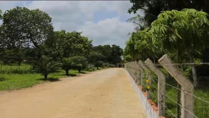 Sítio, 5 quartos, 20 hectares - Foto 30
