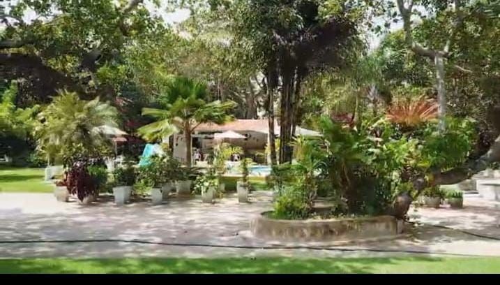 Sítio, 5 quartos, 20 hectares - Foto 8