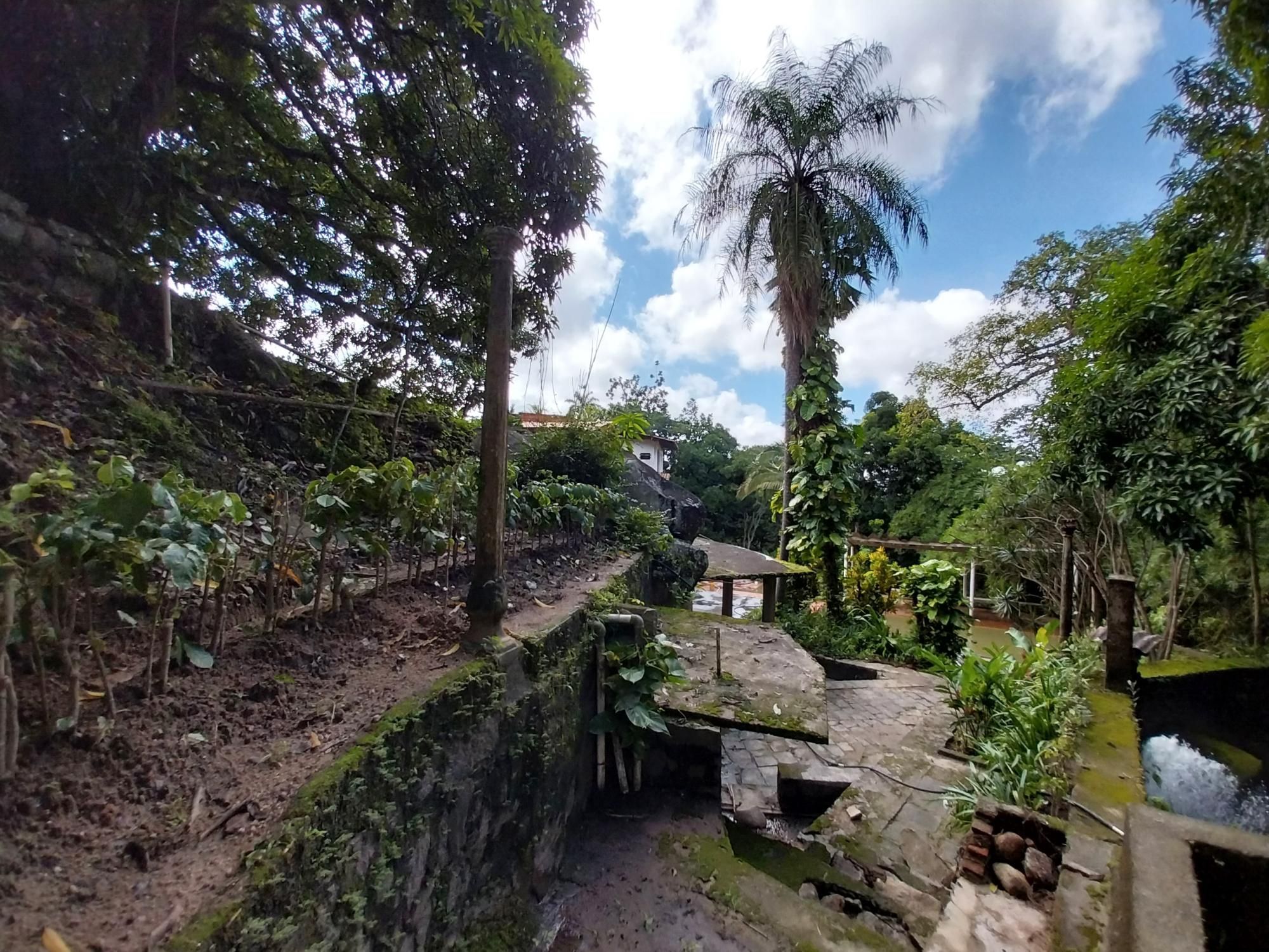 Terreno, 2 hectares - Foto 14