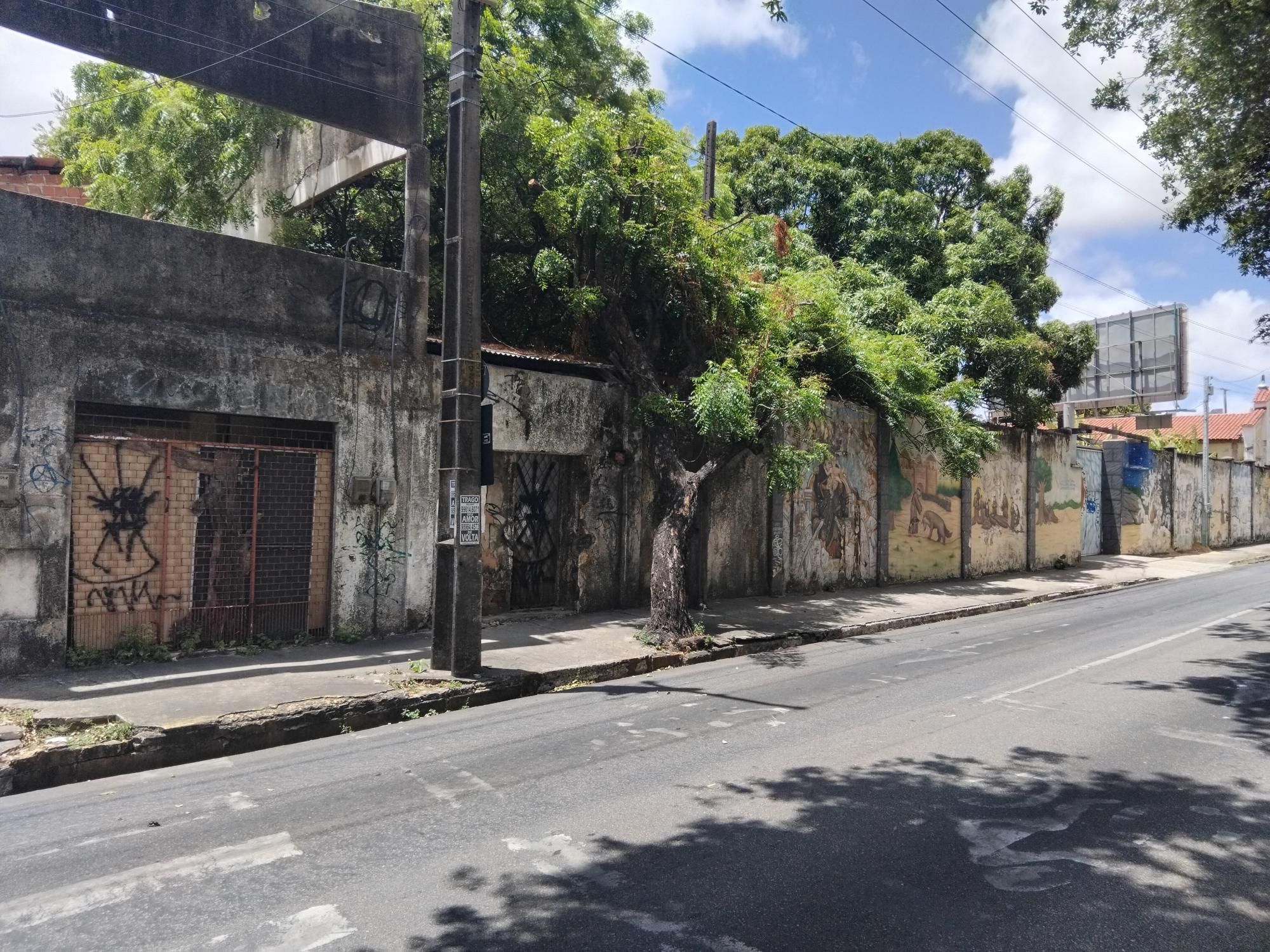 Terreno, 4 hectares - Foto 8