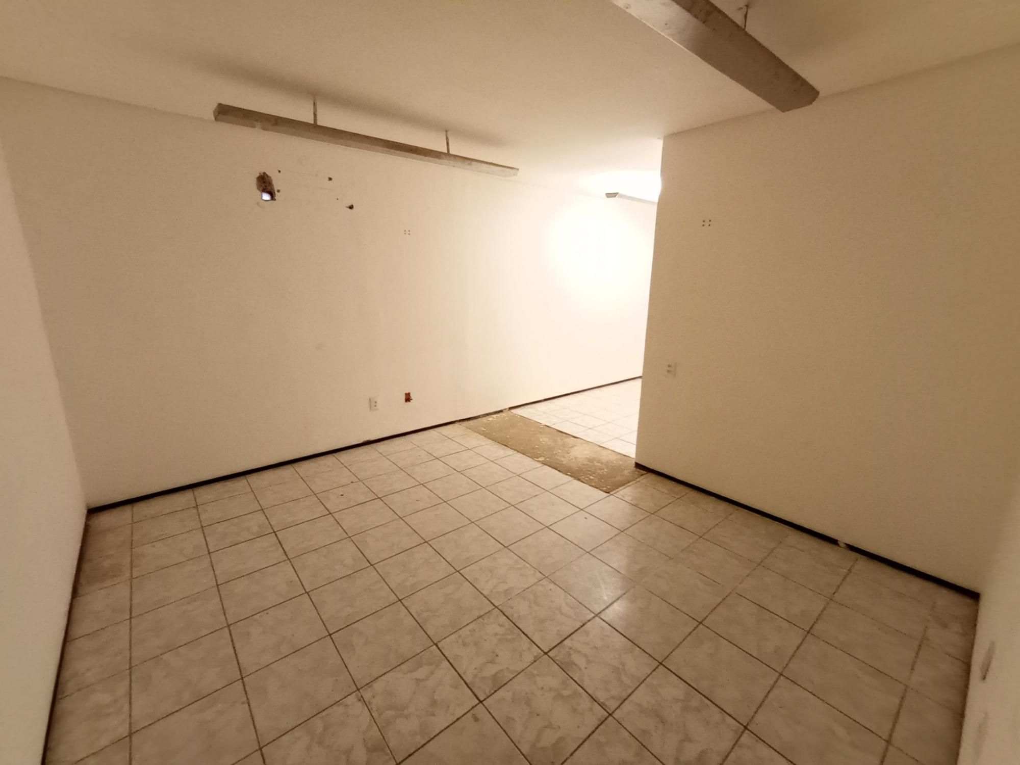 Casa, 4 quartos, 462 m² - Foto 51