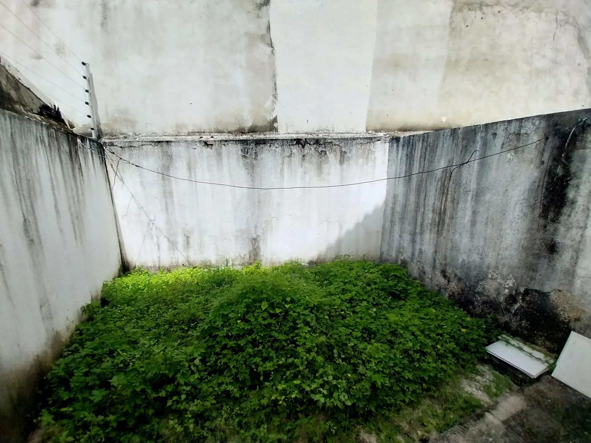Casa, 3 quartos, 207 m² - Foto 10