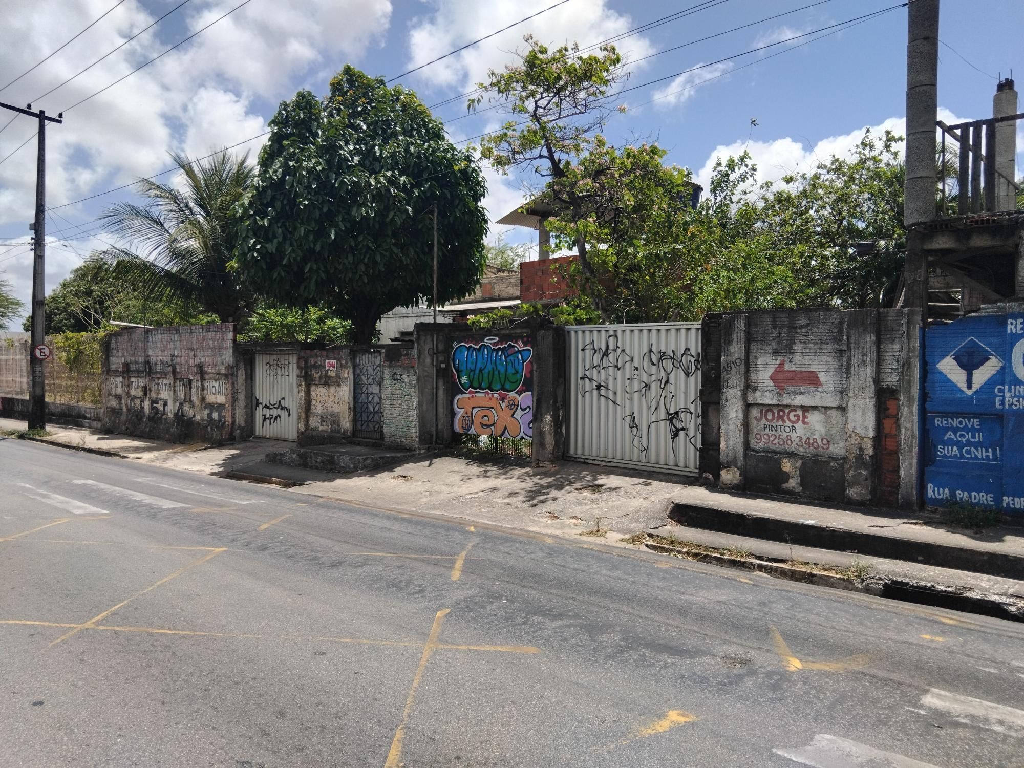 Terreno, 4 hectares - Foto 7