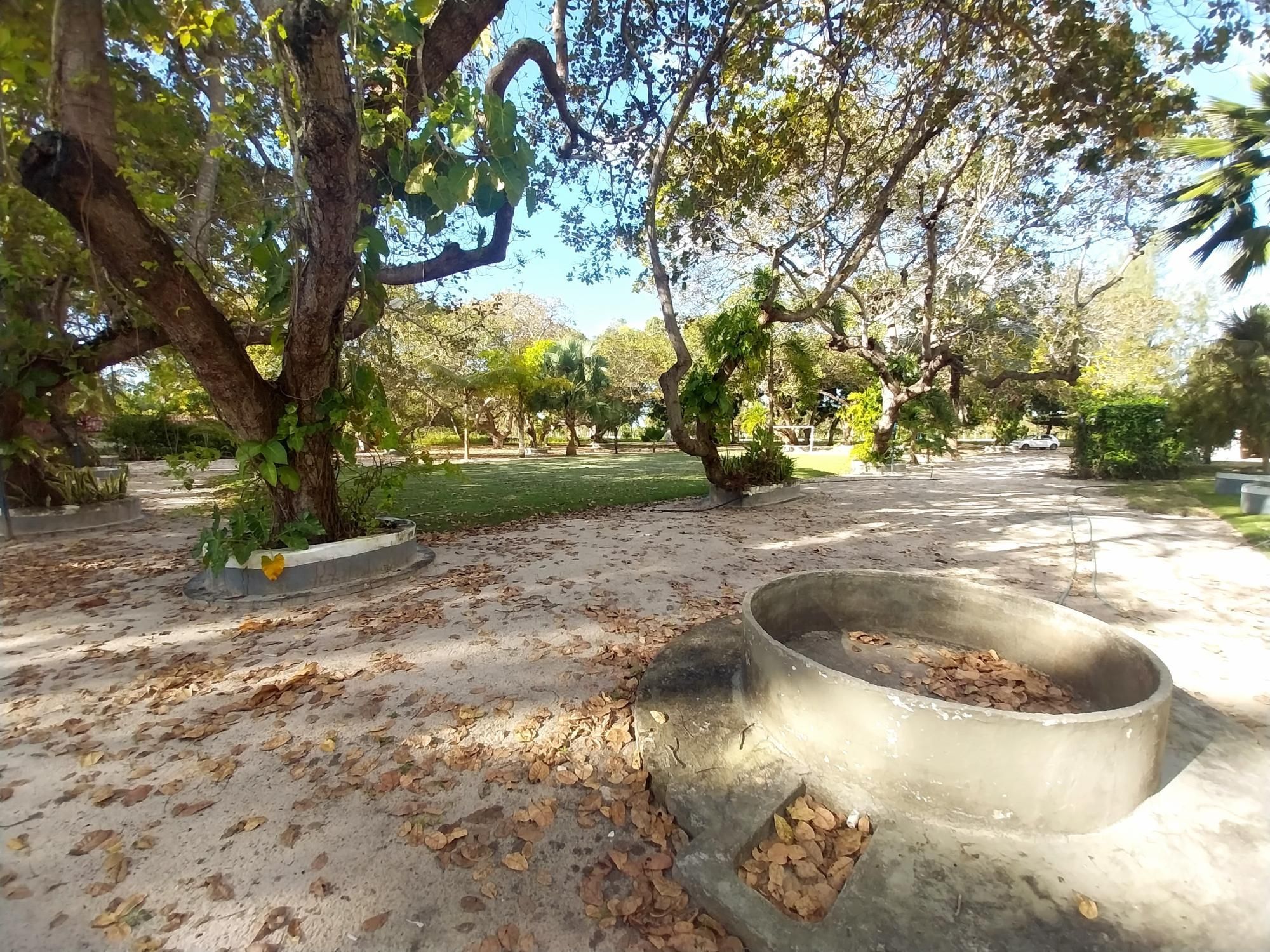 Sítio, 5 quartos, 6 hectares - Foto 27