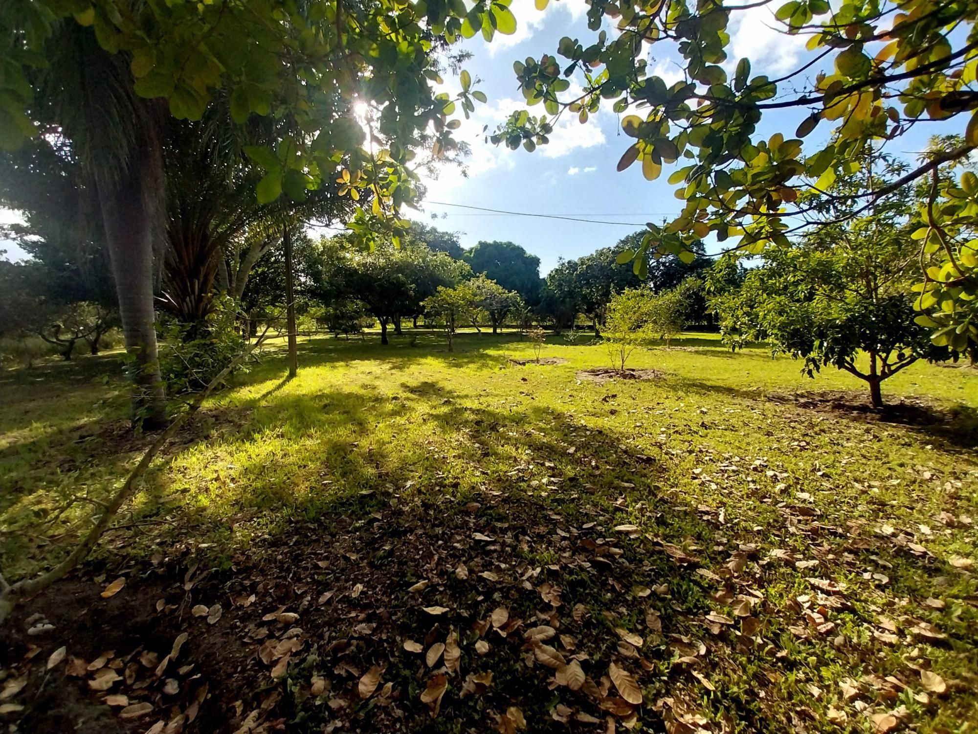 Sítio, 5 quartos, 6 hectares - Foto 41