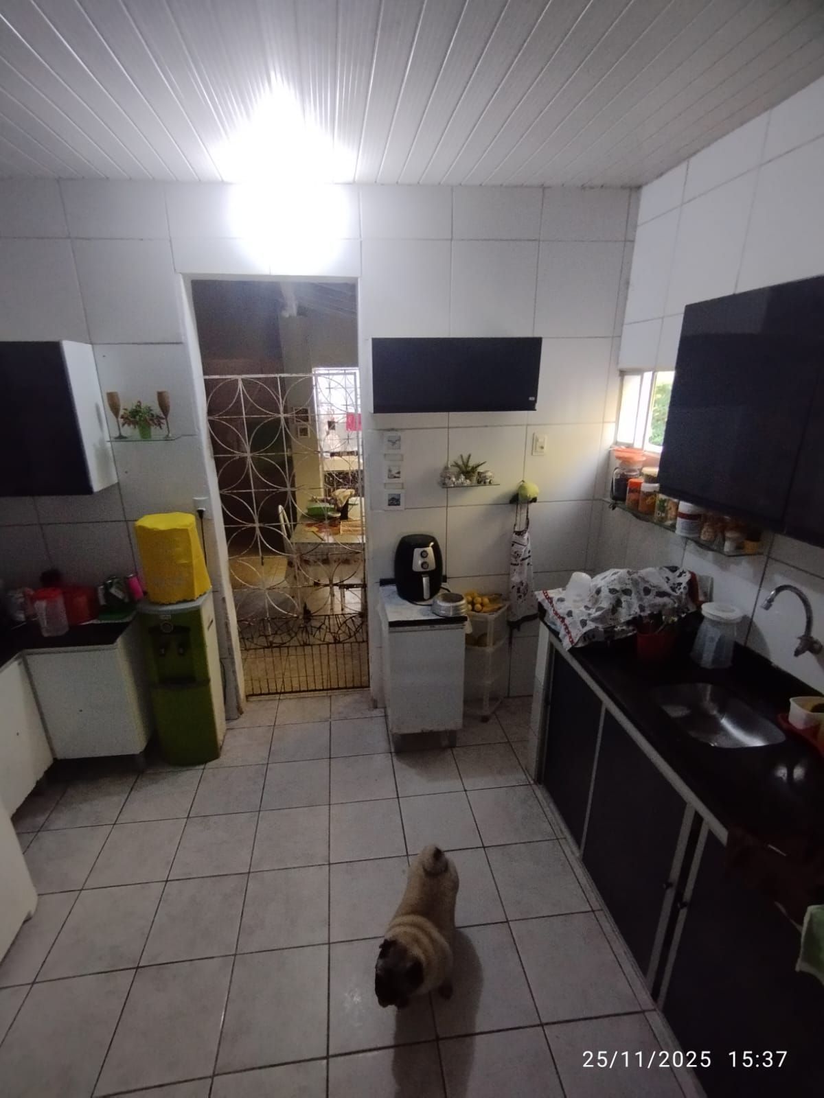 Casa, 4 quartos, 195 m² - Foto 31