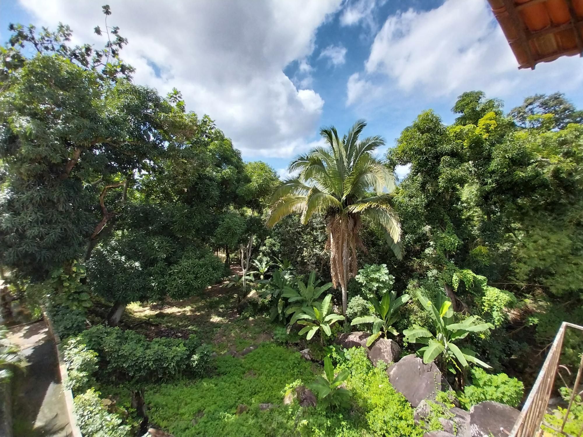 Terreno, 2 hectares - Foto 54