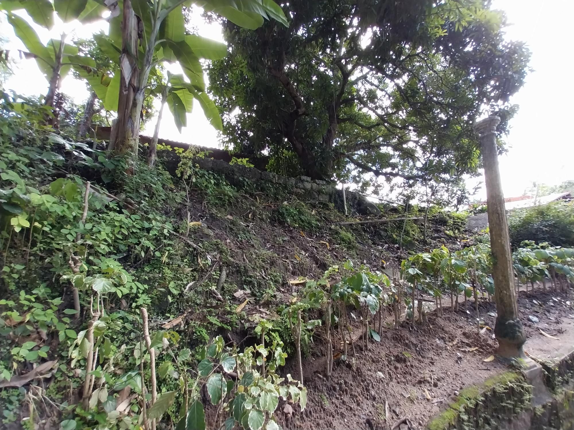 Terreno, 2 hectares - Foto 15