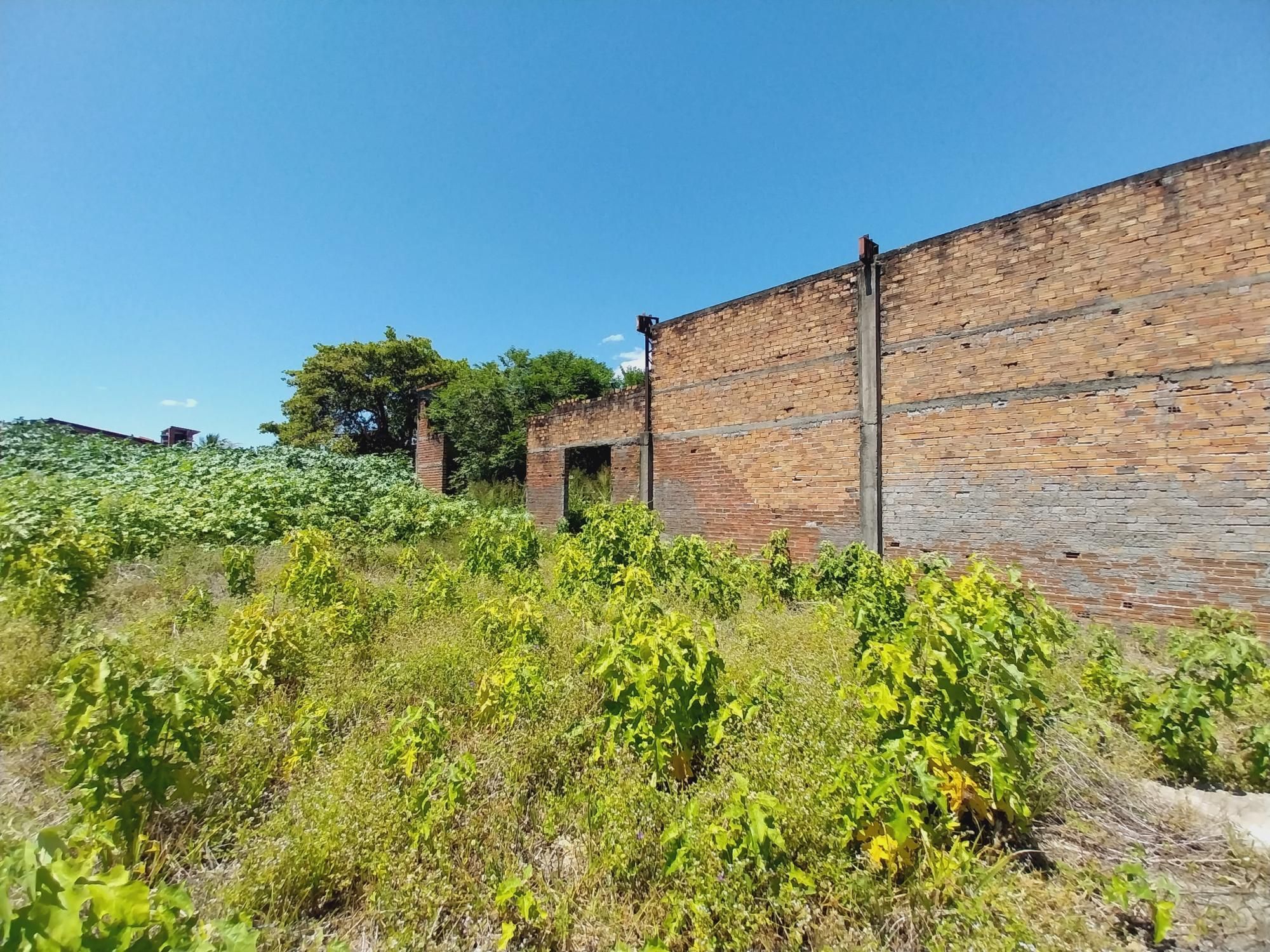 Terreno, 7260 m² - Foto 17