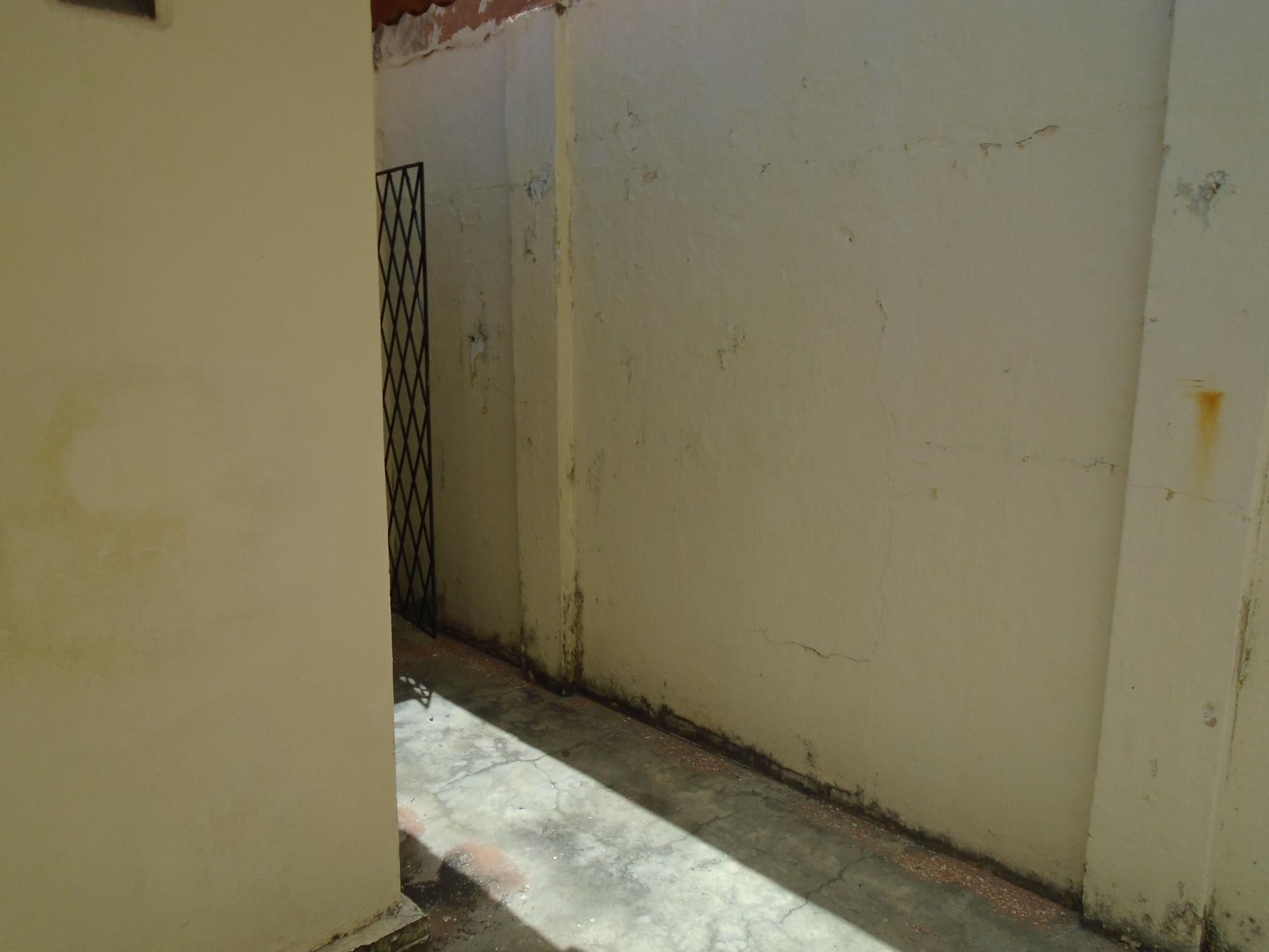 Casa, 4 quartos, 393 m² - Foto 53