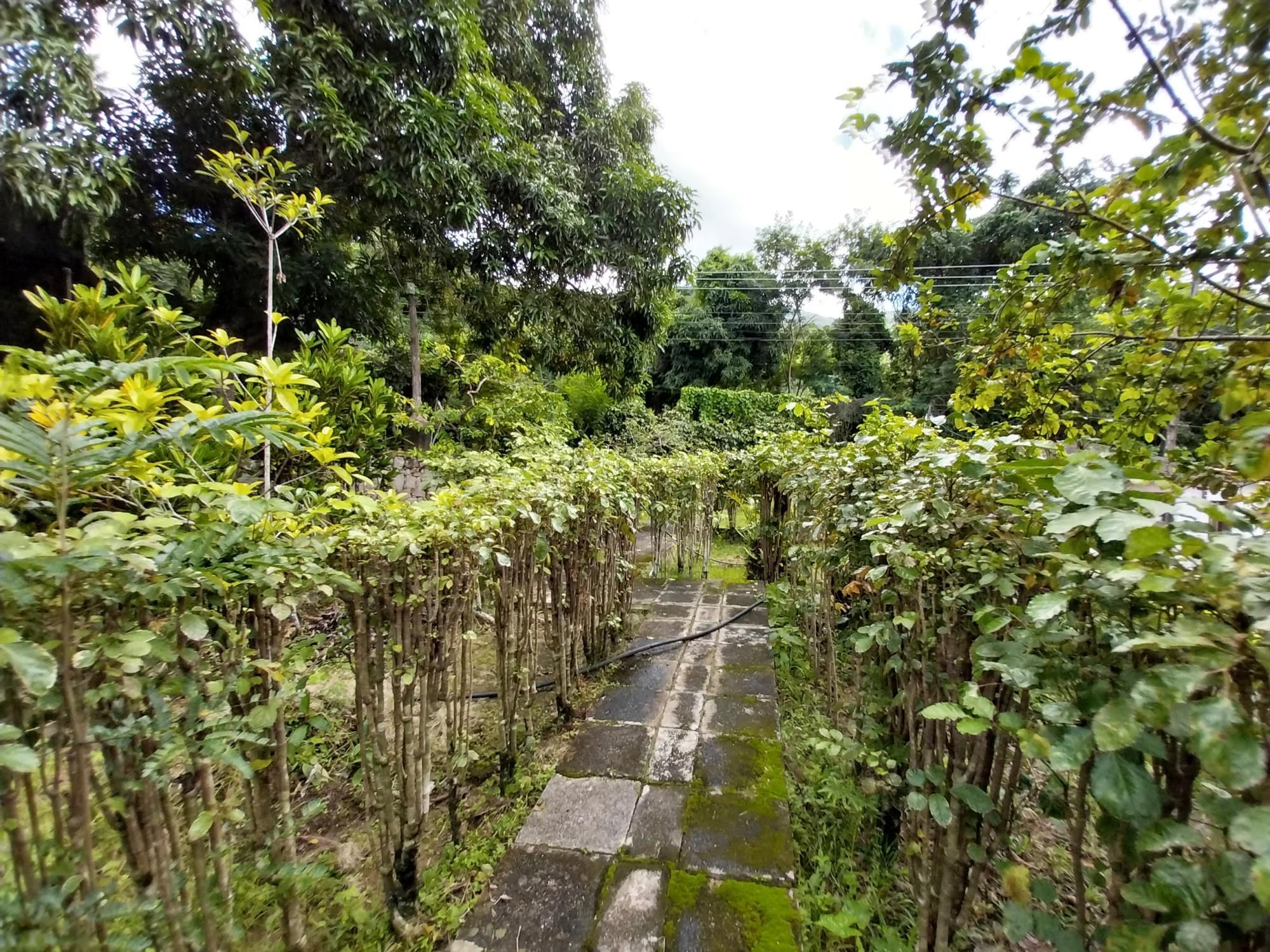 Terreno, 2 hectares - Foto 68