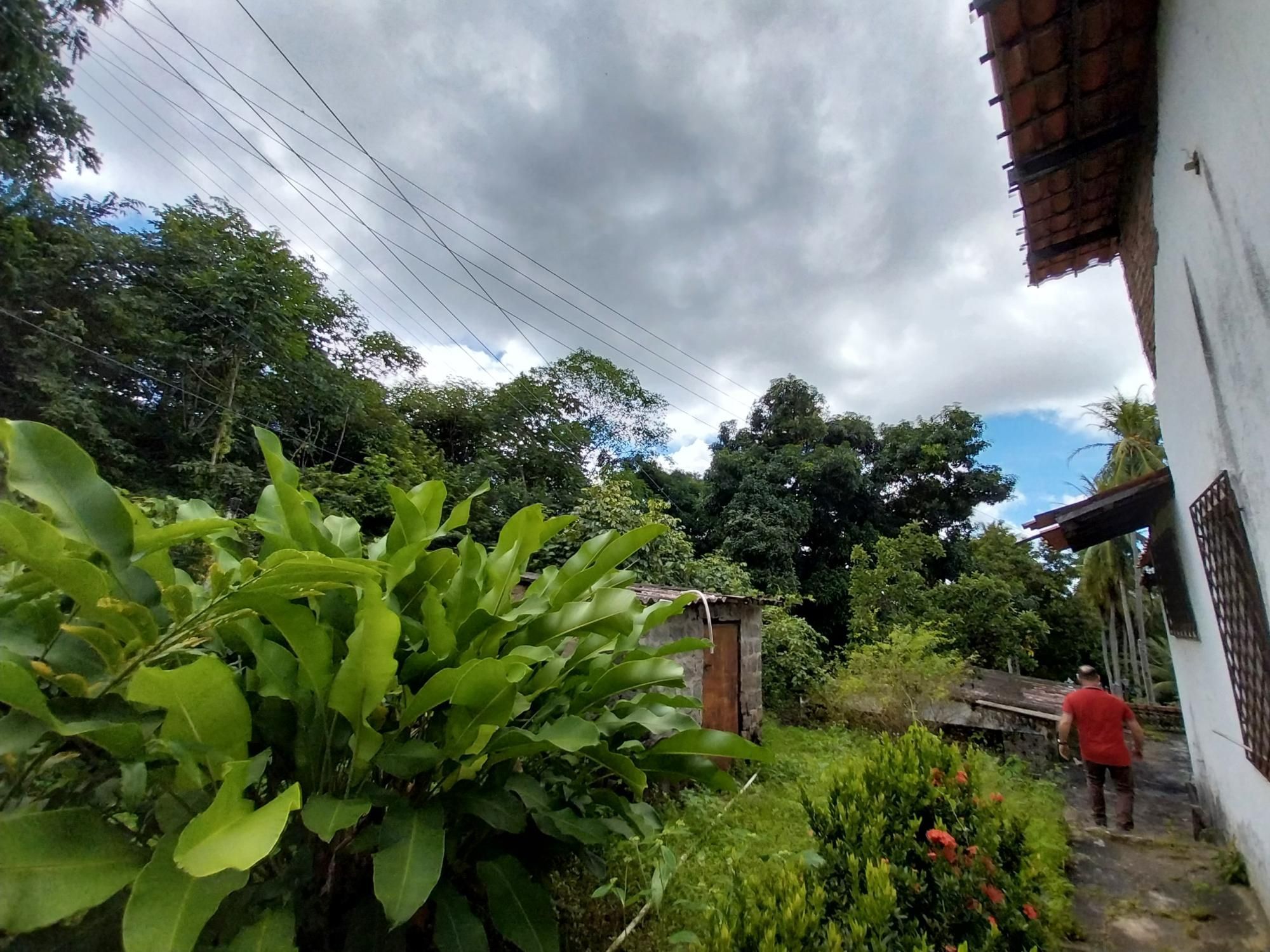 Terreno, 2 hectares - Foto 82