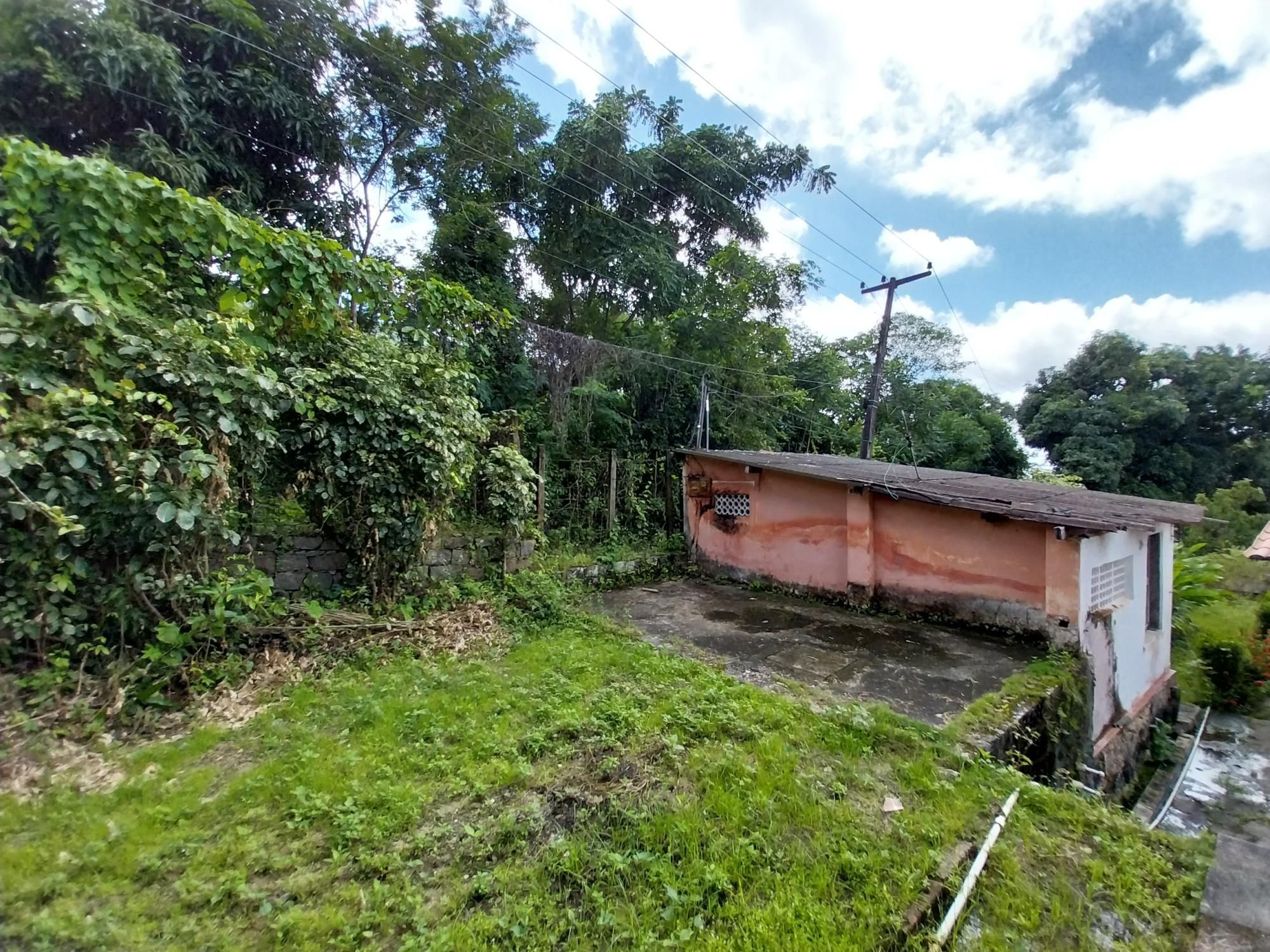 Terreno, 2 hectares - Foto 69