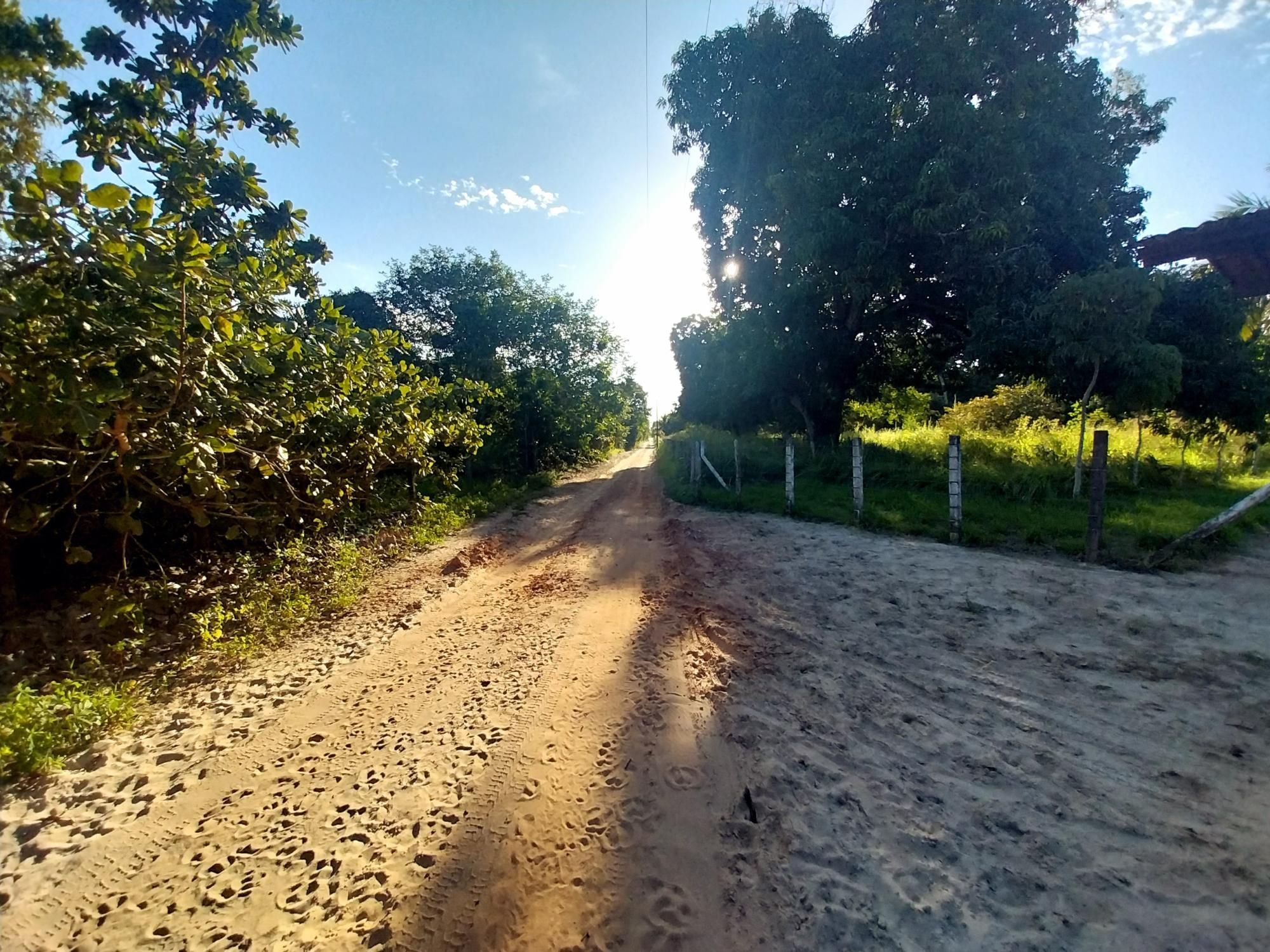 Terreno, 5 hectares - Foto 7