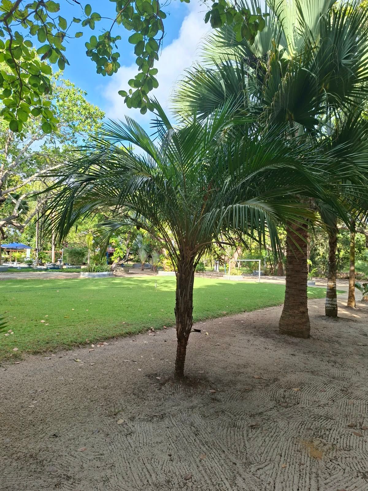 Sítio, 5 quartos, 20 hectares - Foto 18