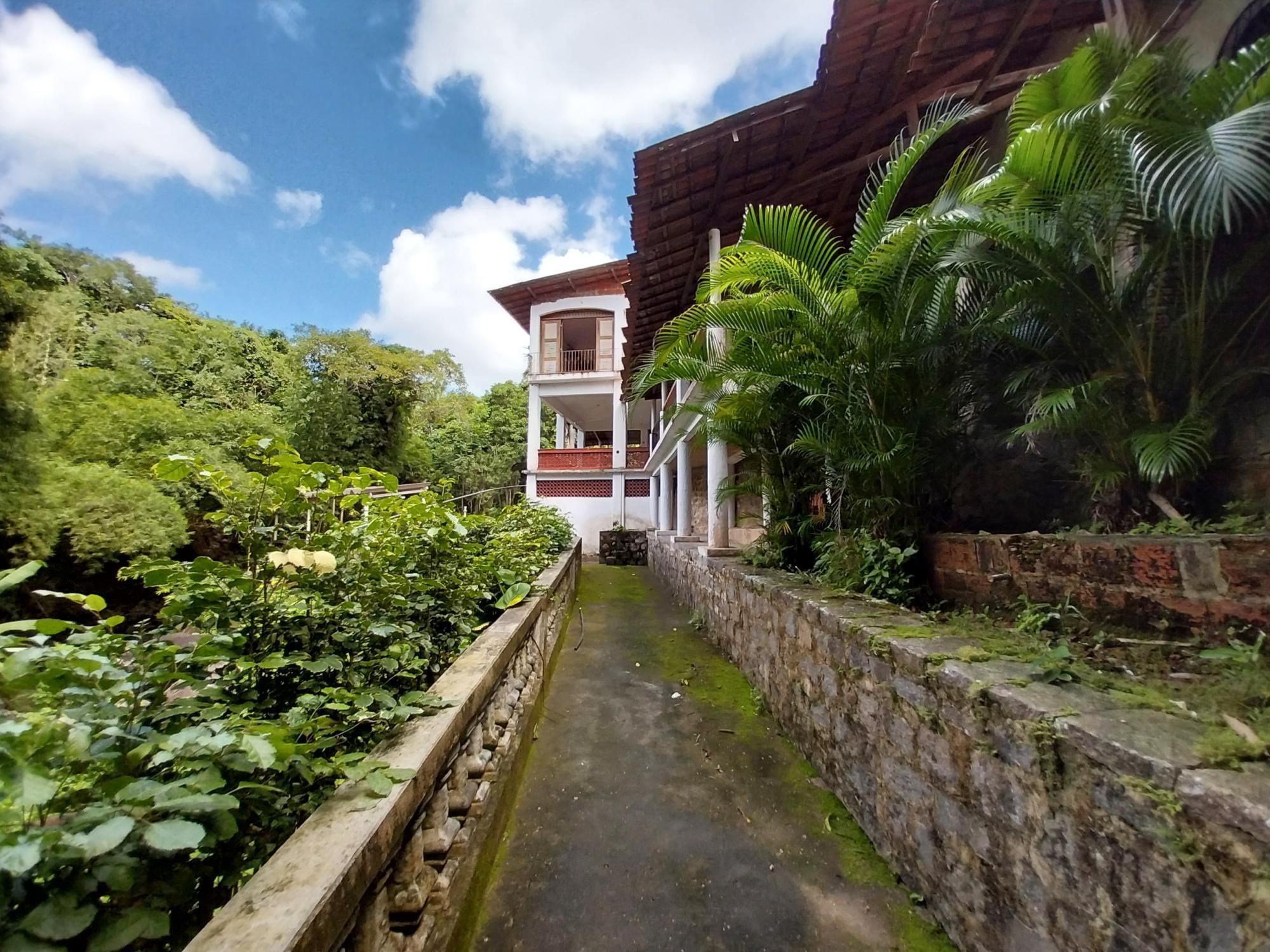 Terreno, 2 hectares - Foto 12