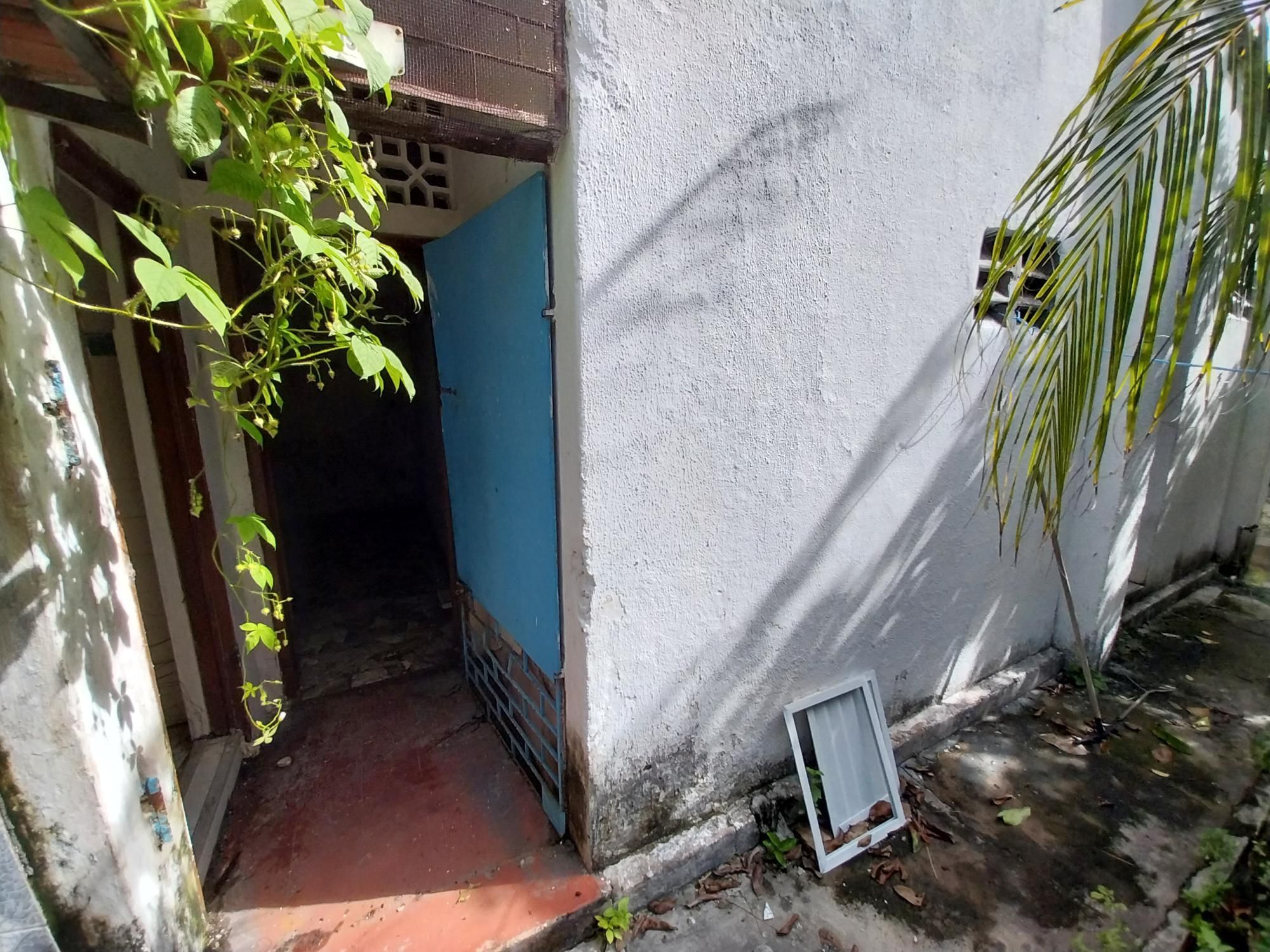 Casa à venda com 7 quartos, 256m² - Foto 47