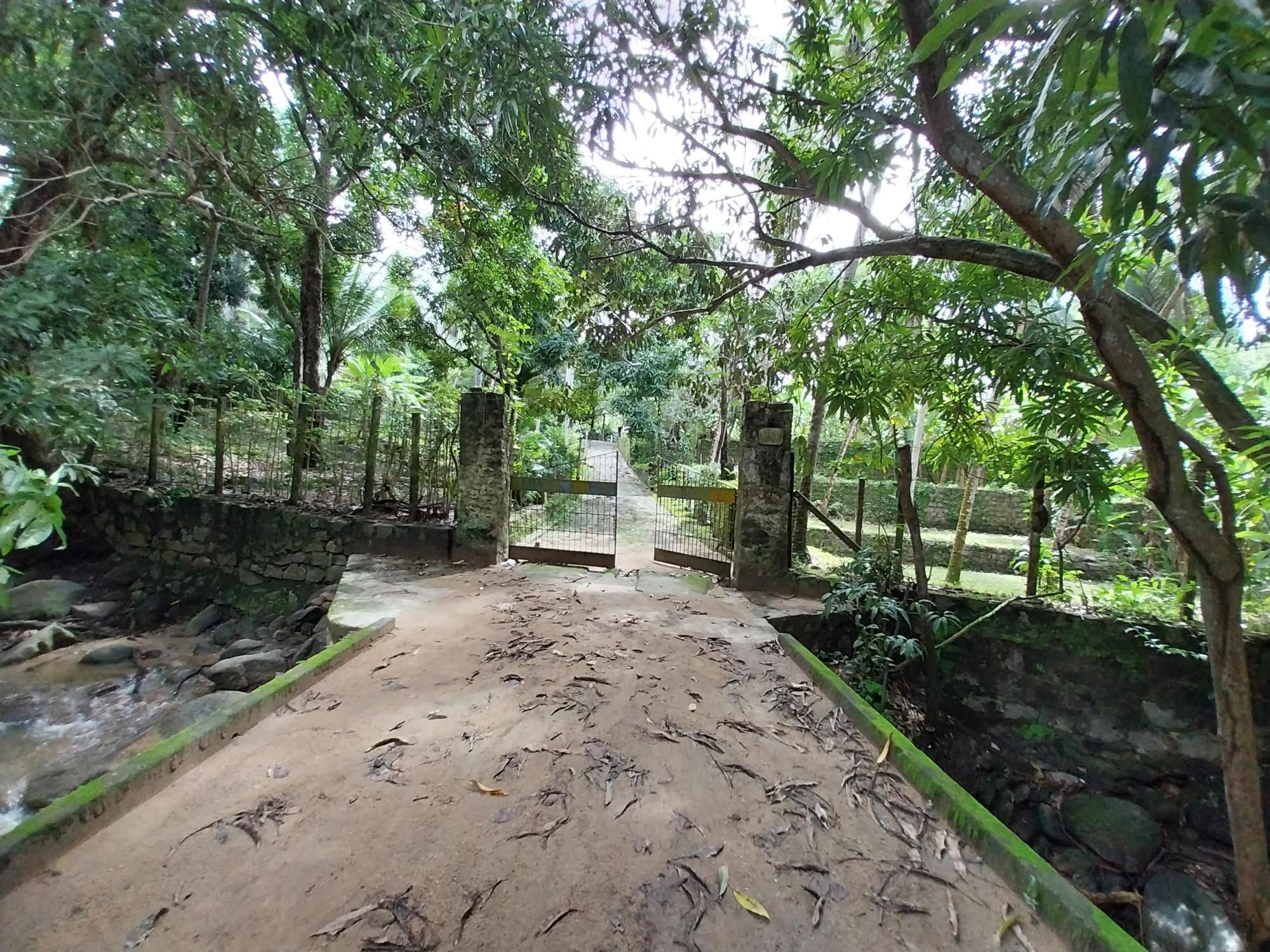 Terreno, 2 hectares - Foto 8