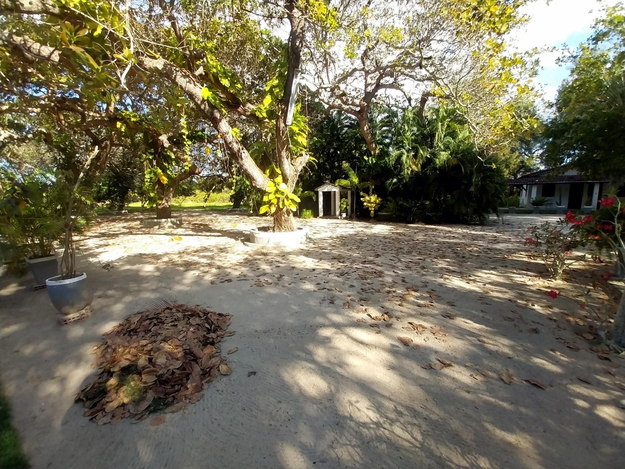 Sítio, 5 quartos, 6 hectares - Foto 13