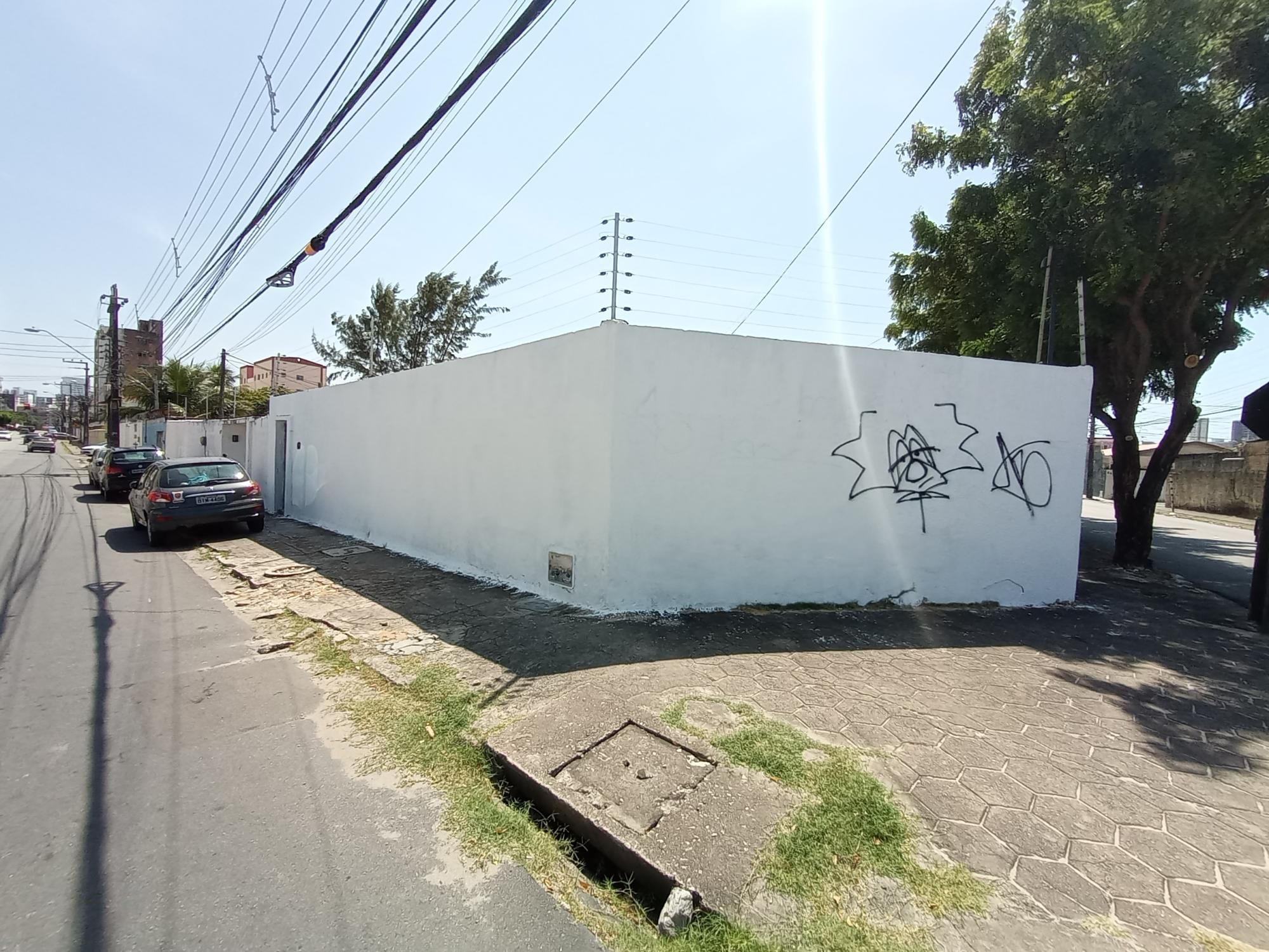 Casa, 4 quartos, 462 m² - Foto 4