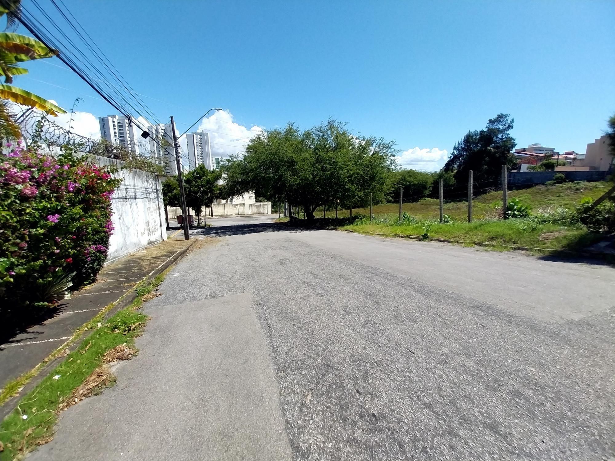 Casa, 5 quartos, 518 m² - Foto 4