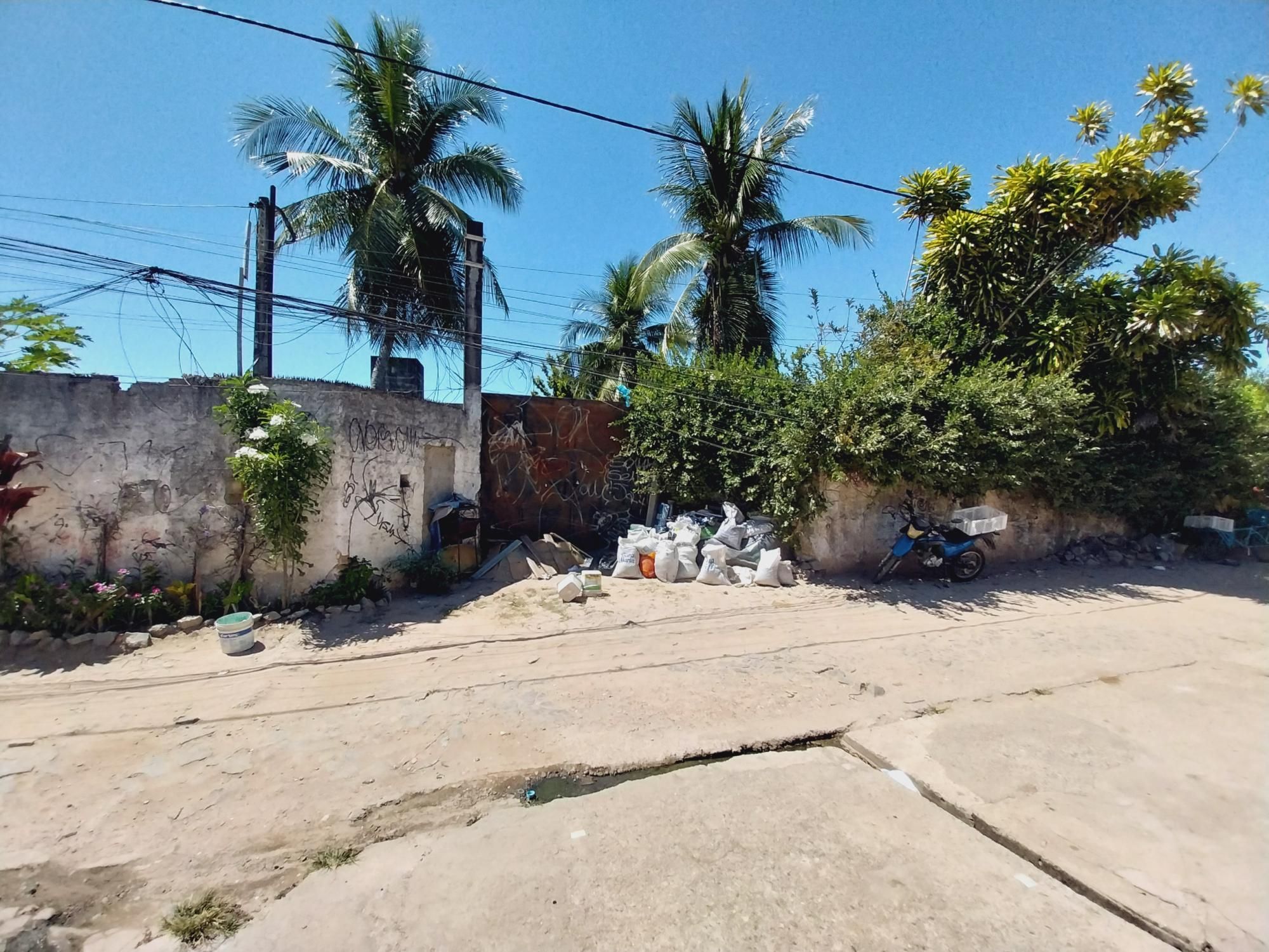 Terreno, 7260 m² - Foto 3