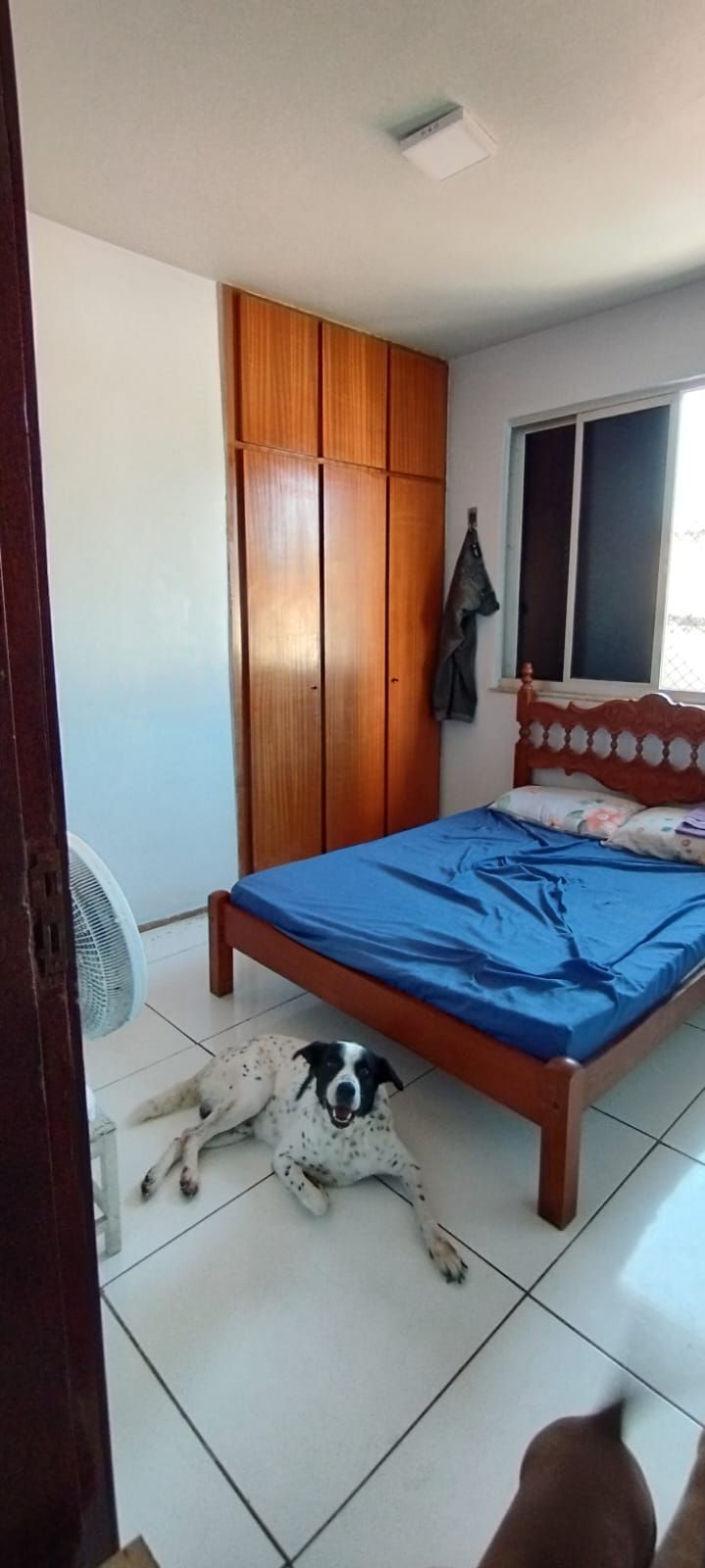 Apartamento à venda com 3 quartos, 106m² - Foto 11