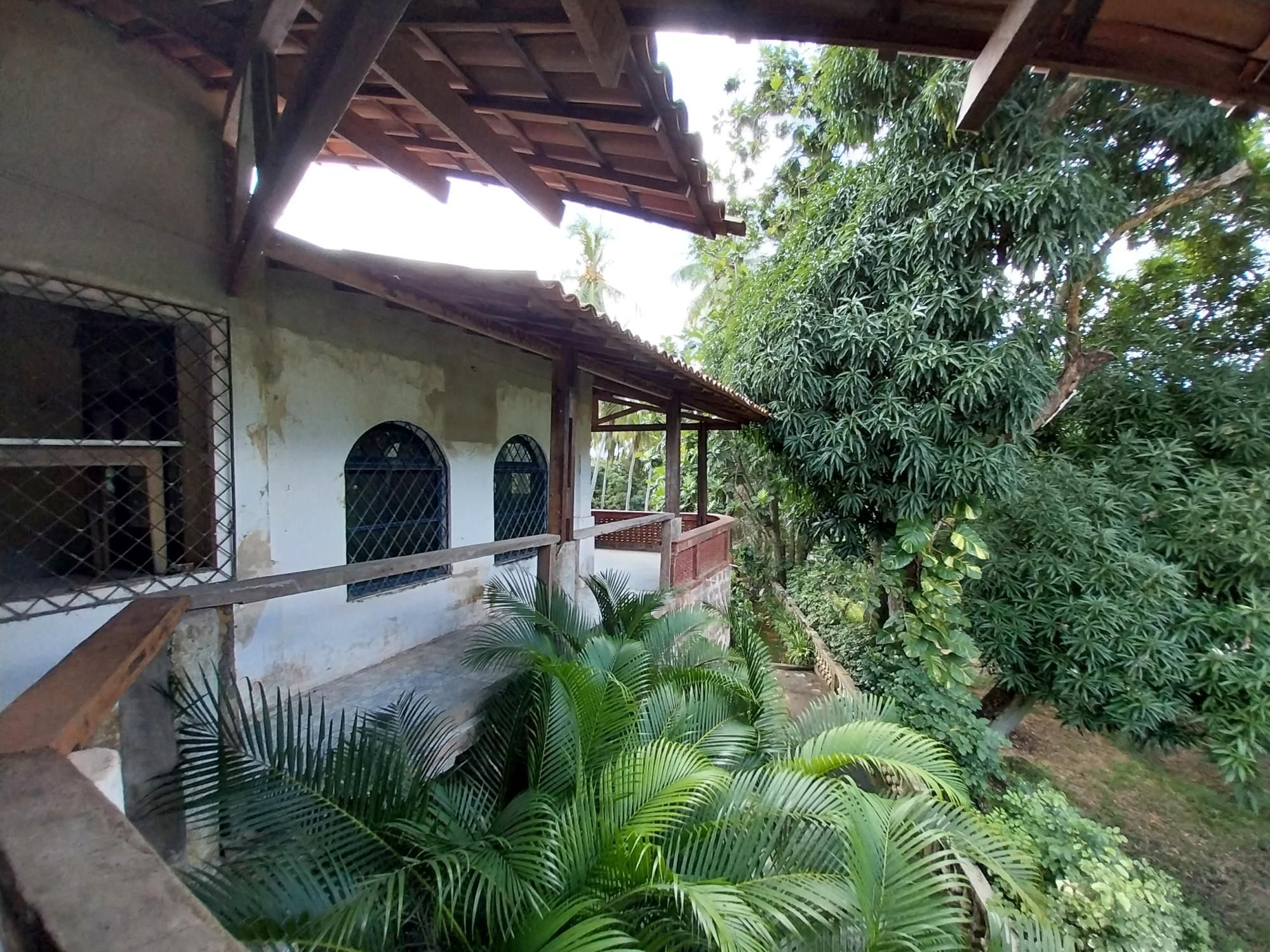 Terreno, 2 hectares - Foto 39