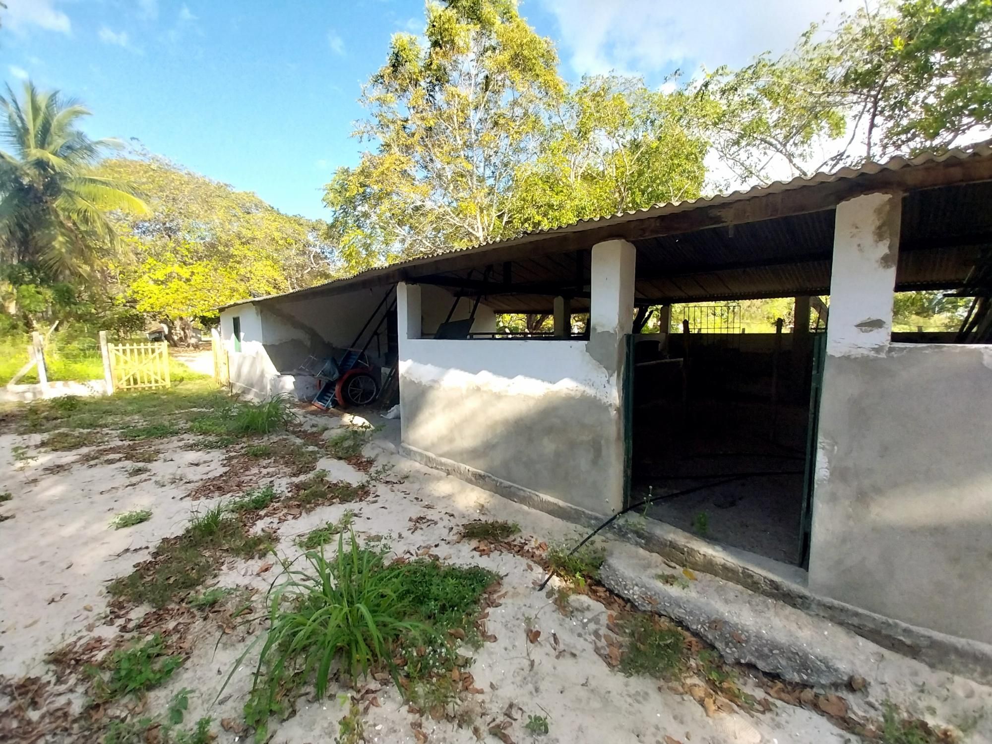 Sítio, 5 quartos, 6 hectares - Foto 36