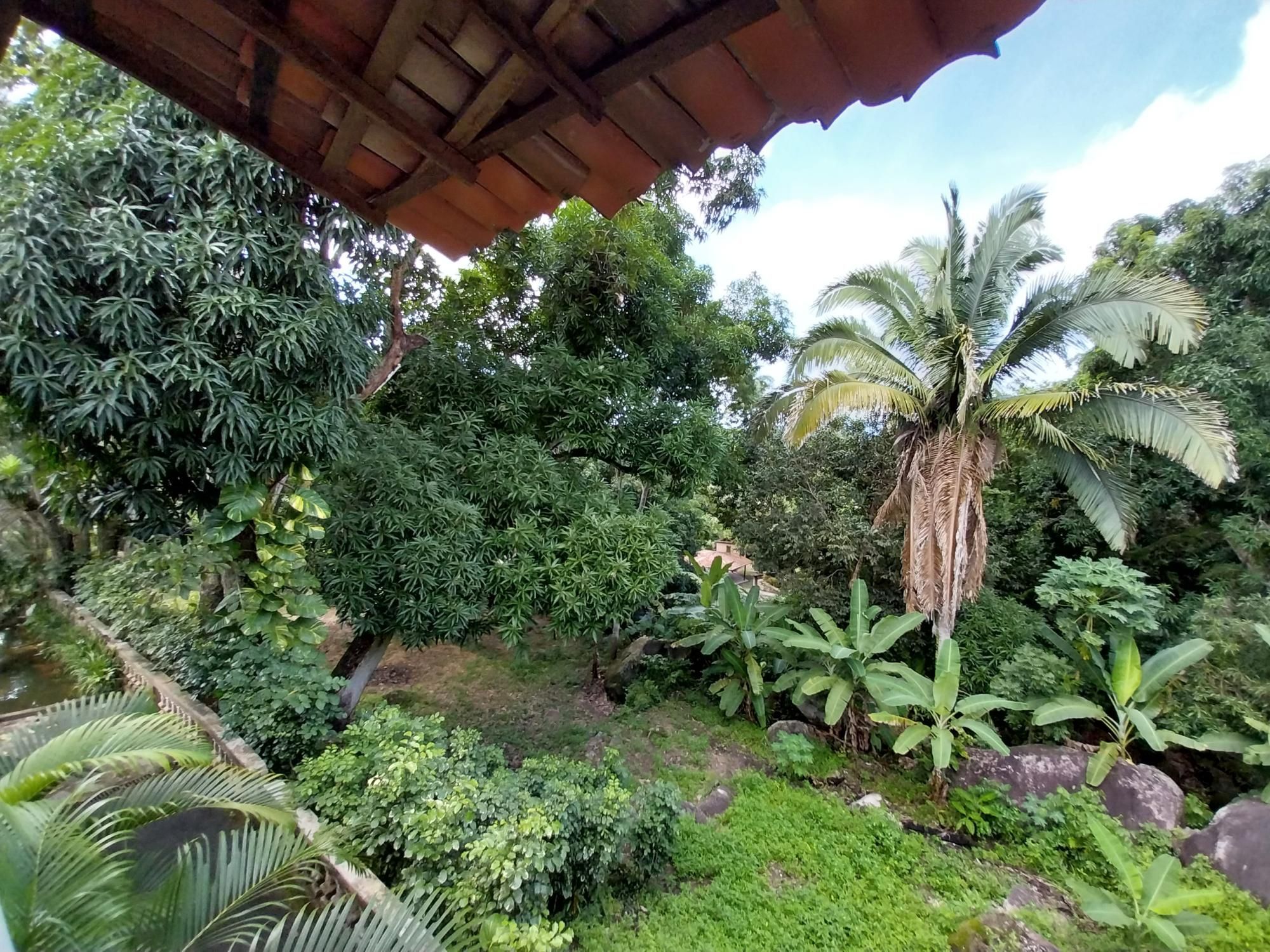 Terreno, 2 hectares - Foto 38