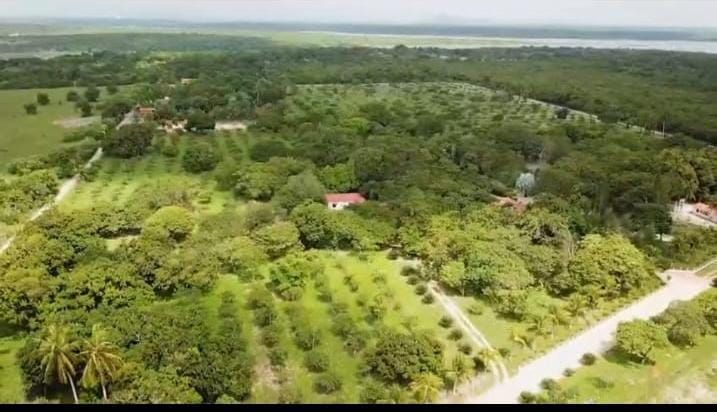 Sítio, 5 quartos, 20 hectares - Foto 16