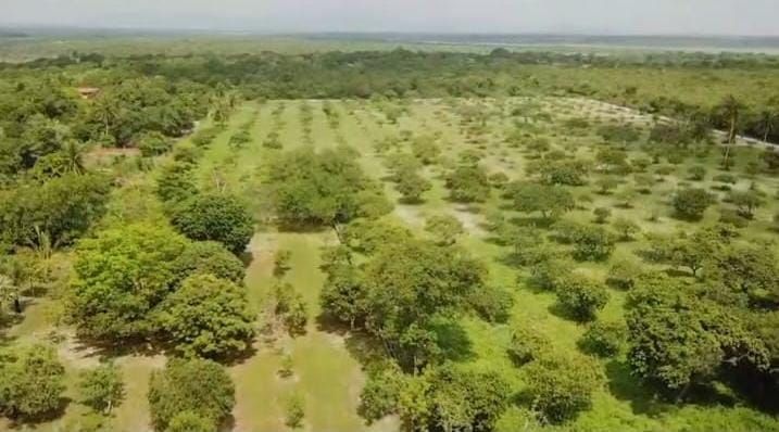 Sítio, 5 quartos, 20 hectares - Foto 17