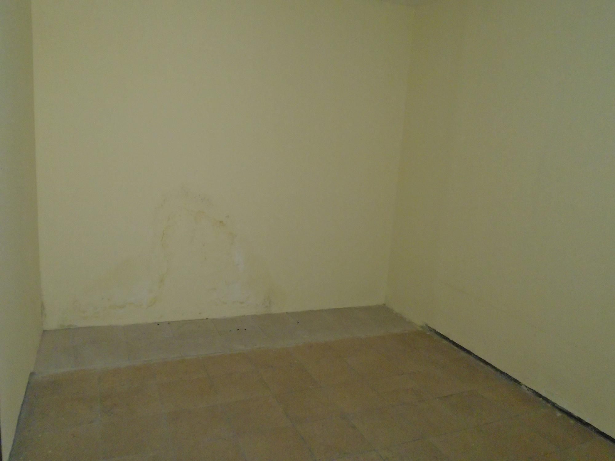 Casa, 4 quartos, 393 m² - Foto 43