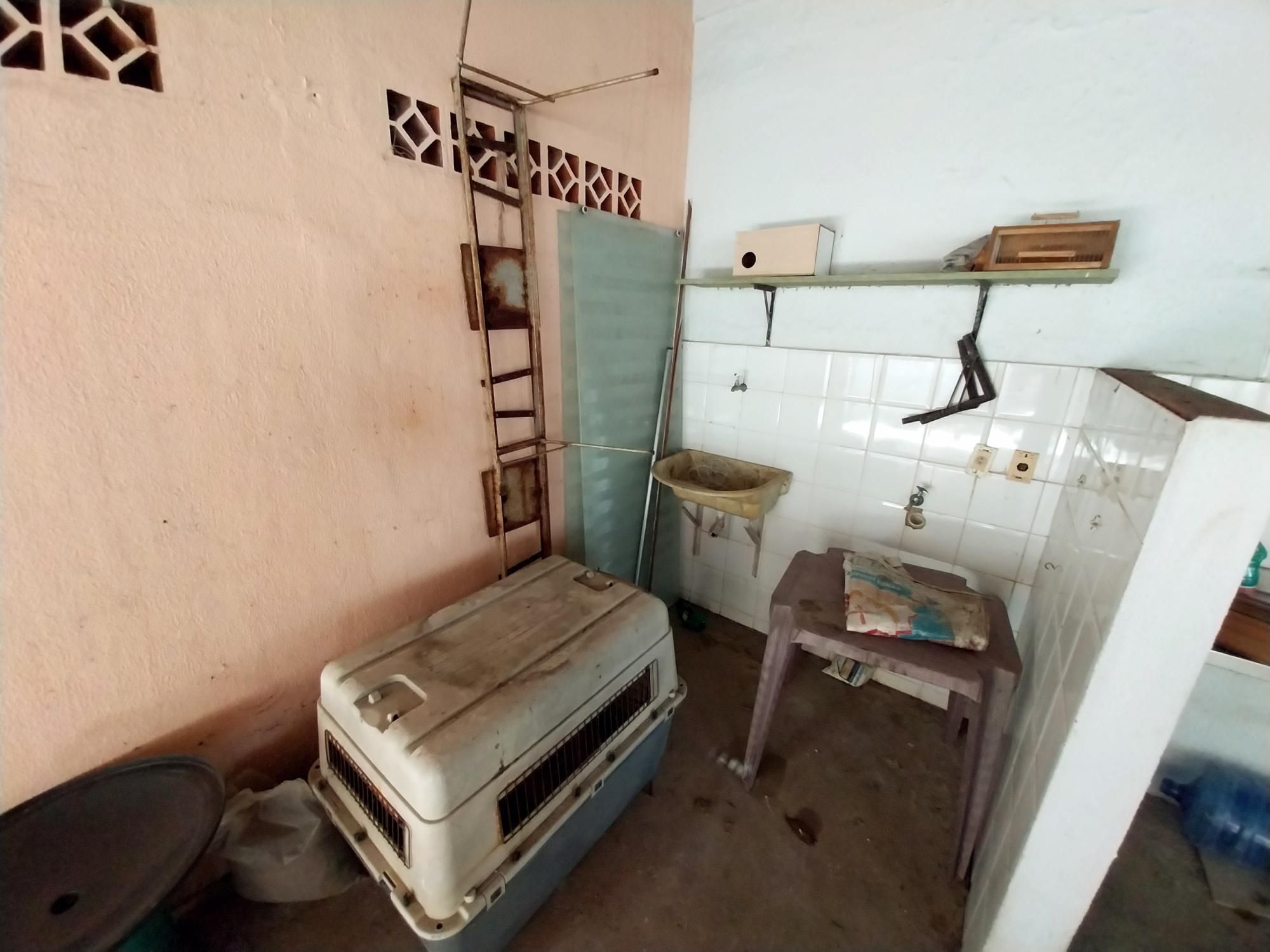 Casa, 4 quartos, 275 m² - Foto 37