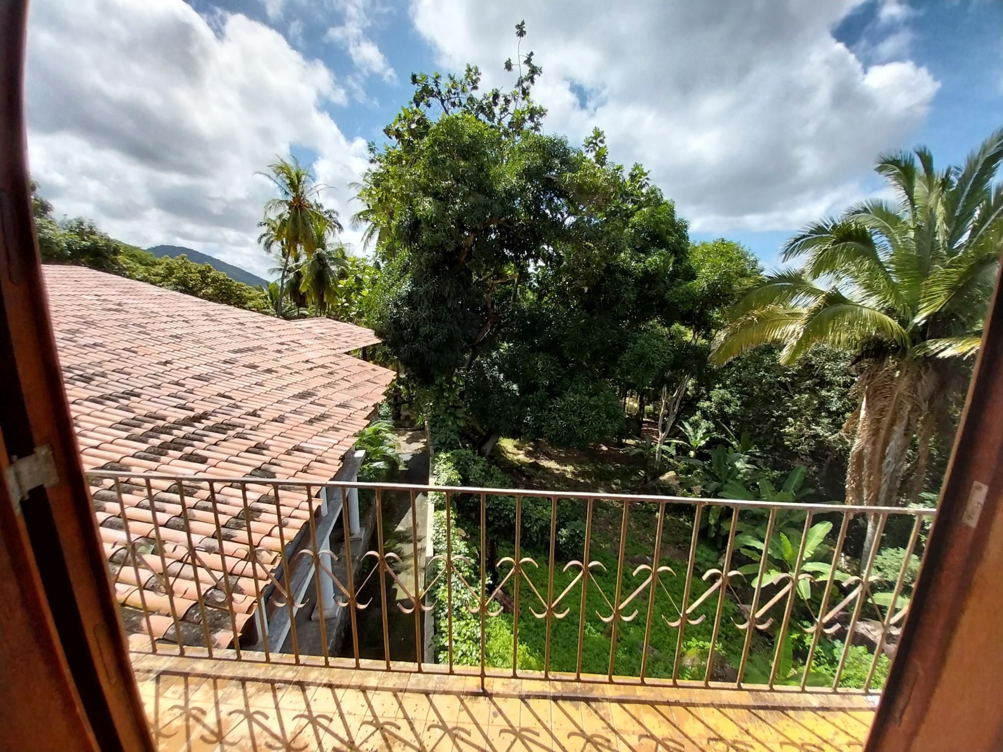 Terreno, 2 hectares - Foto 55