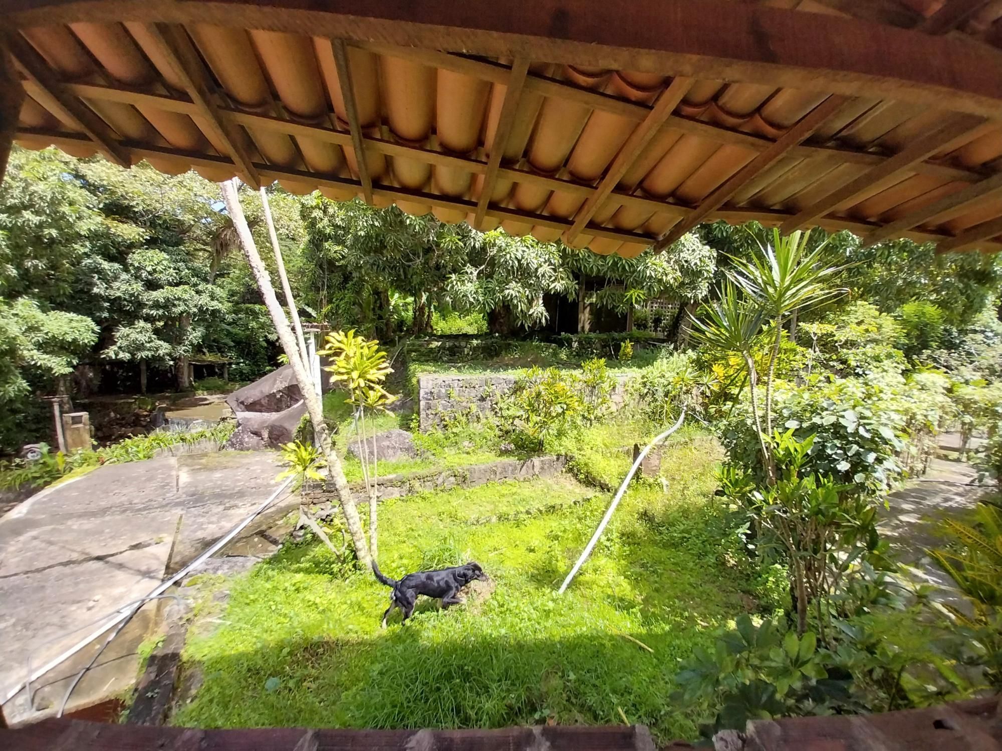 Terreno à venda, 15643m² - Foto 47