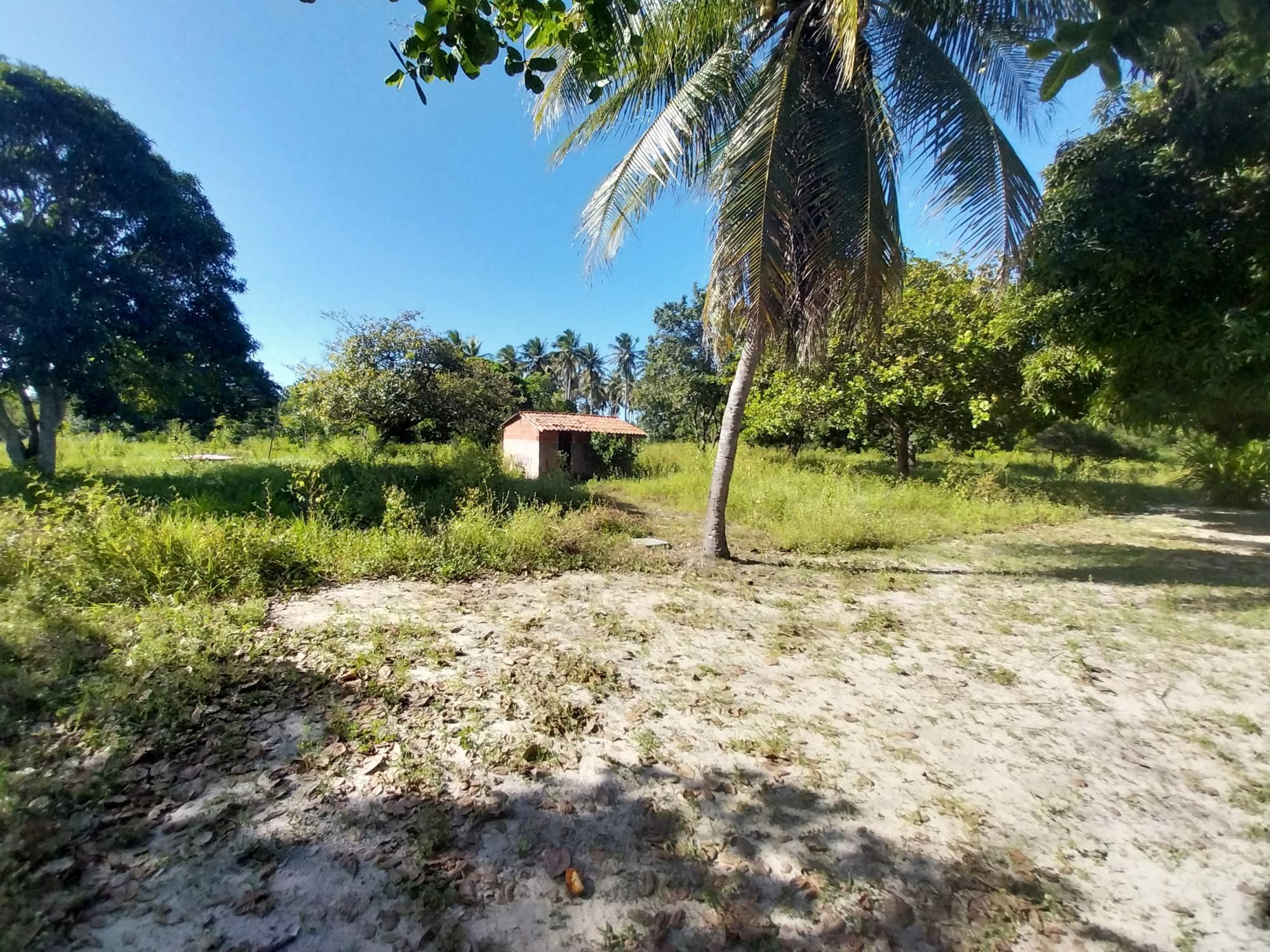 Terreno à venda, 20000m² - Foto 36