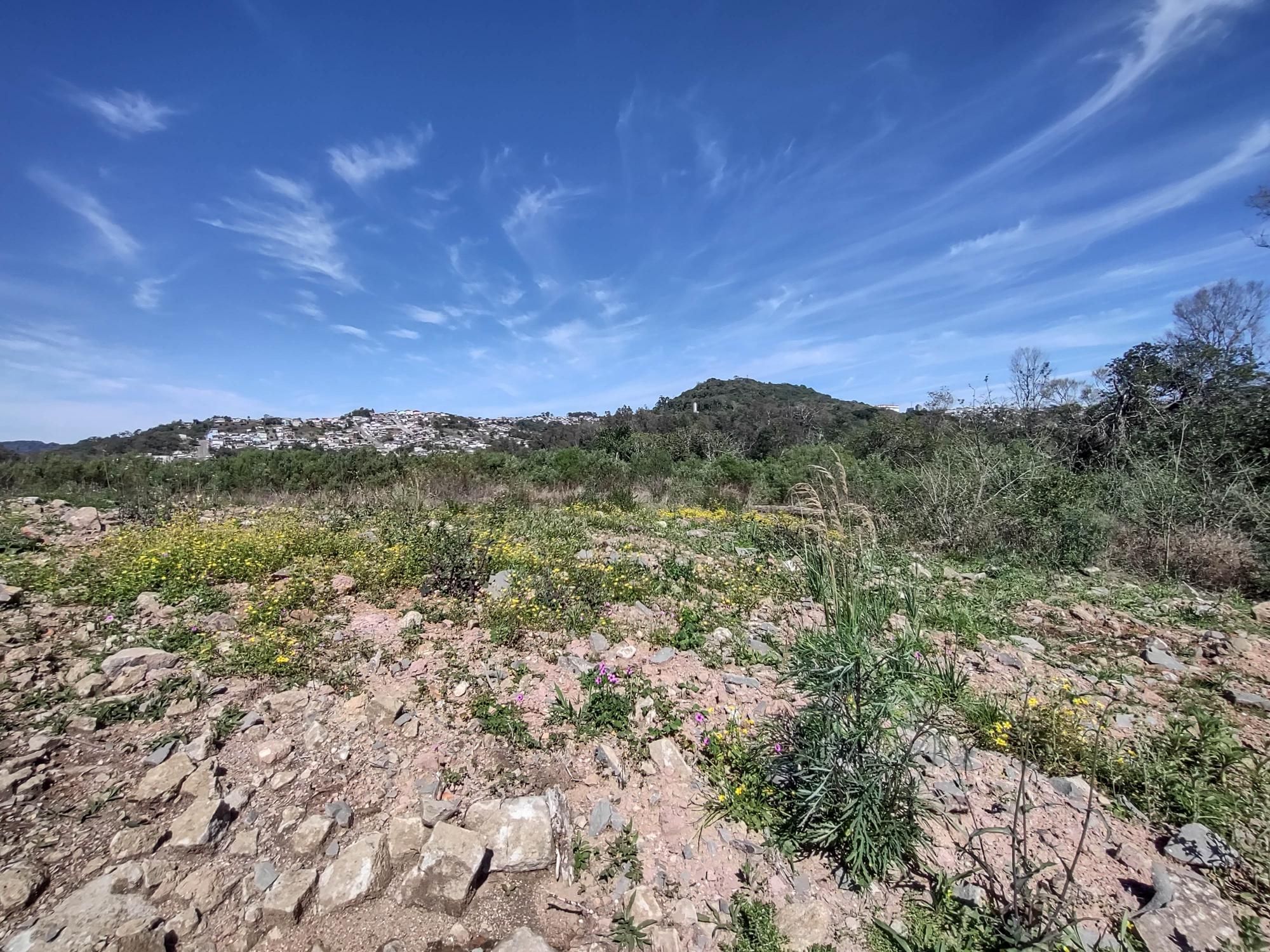 Terreno à venda, 520m² - Foto 3